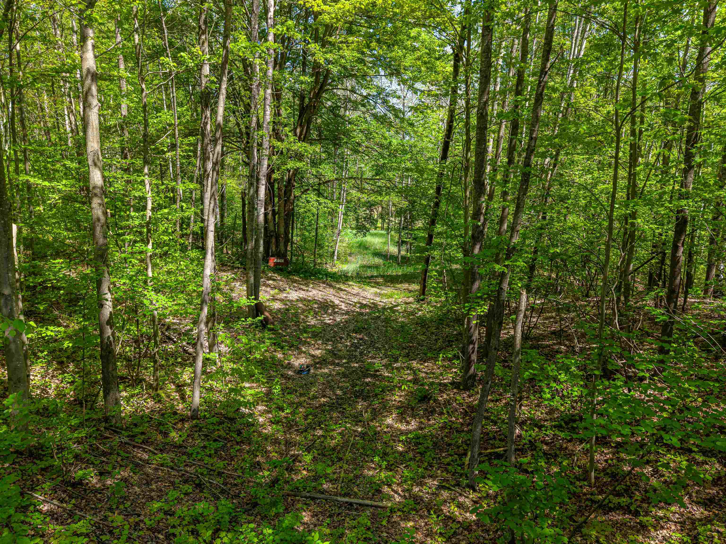 main property photo 58