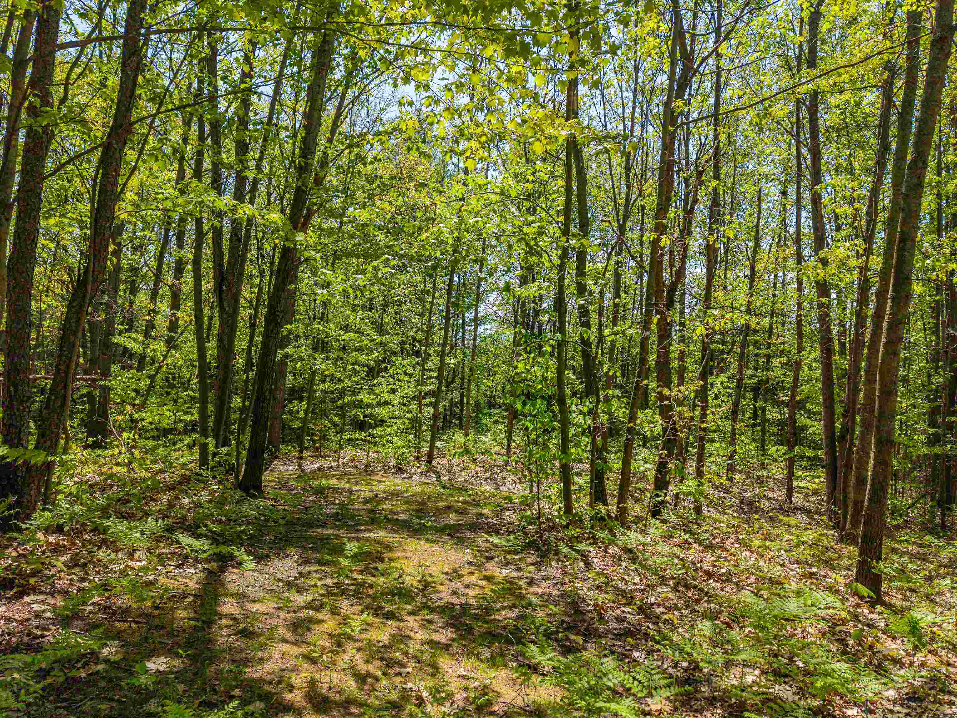 main property photo 61