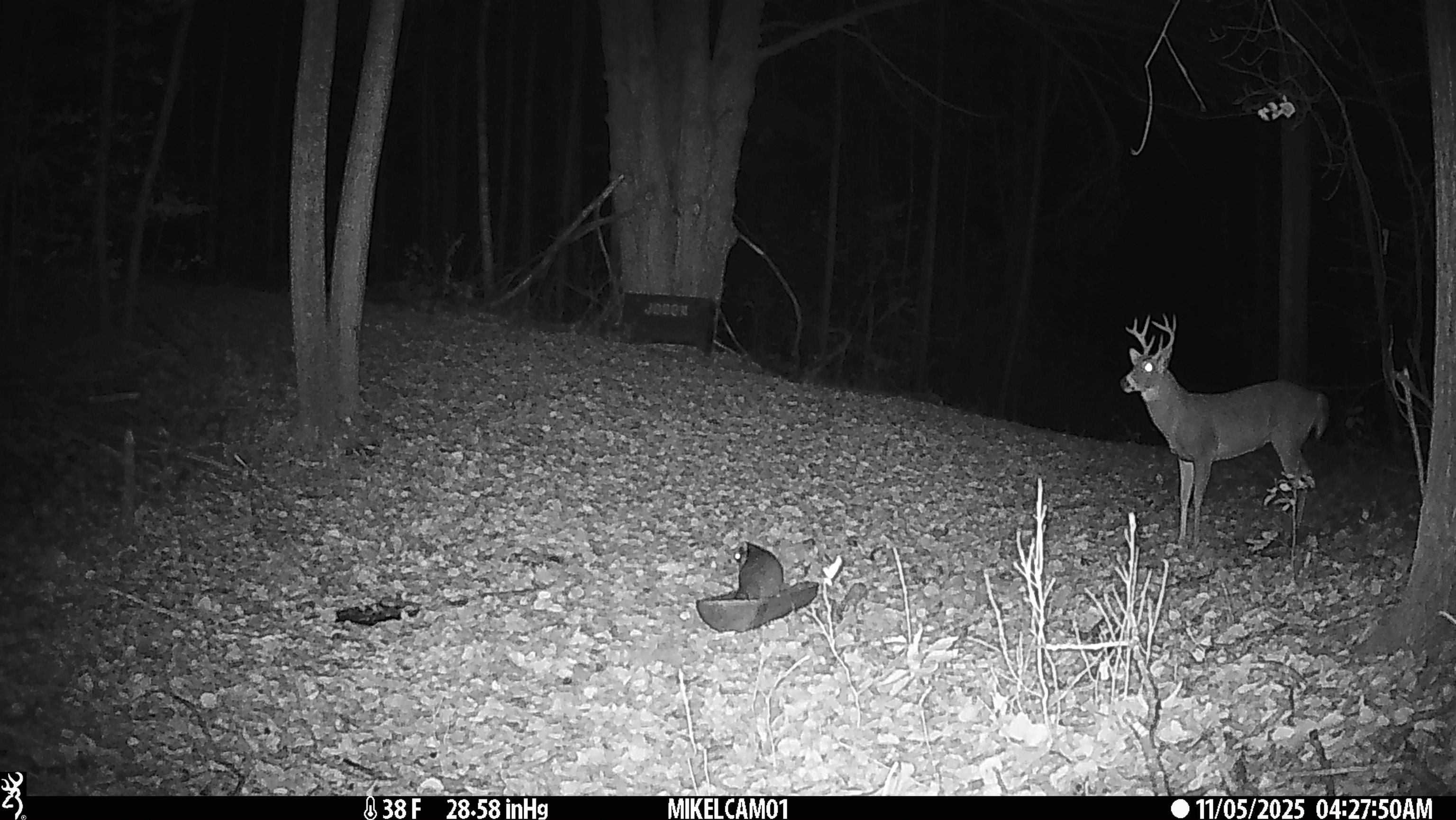 main property photo 64