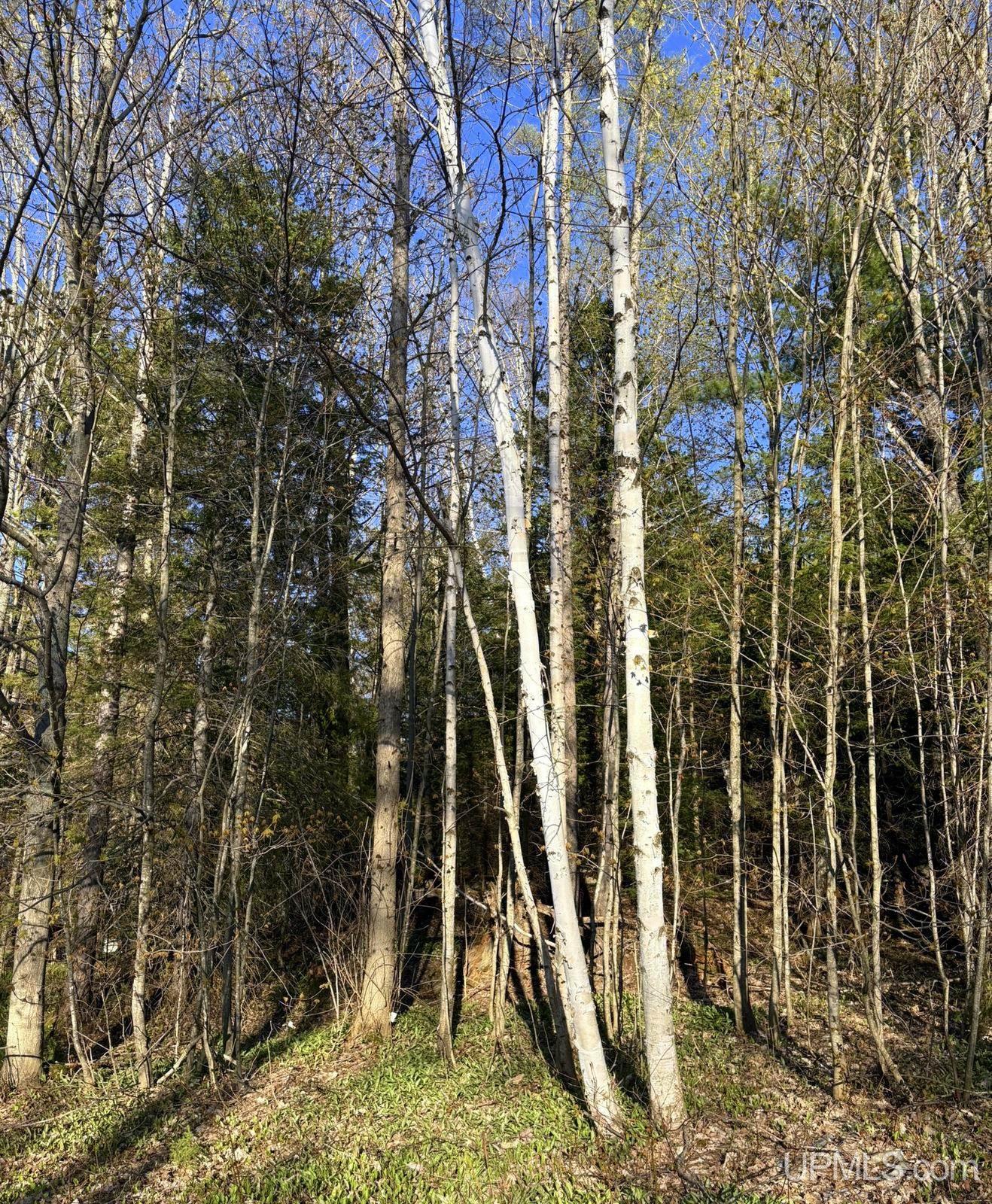 main property photo 15