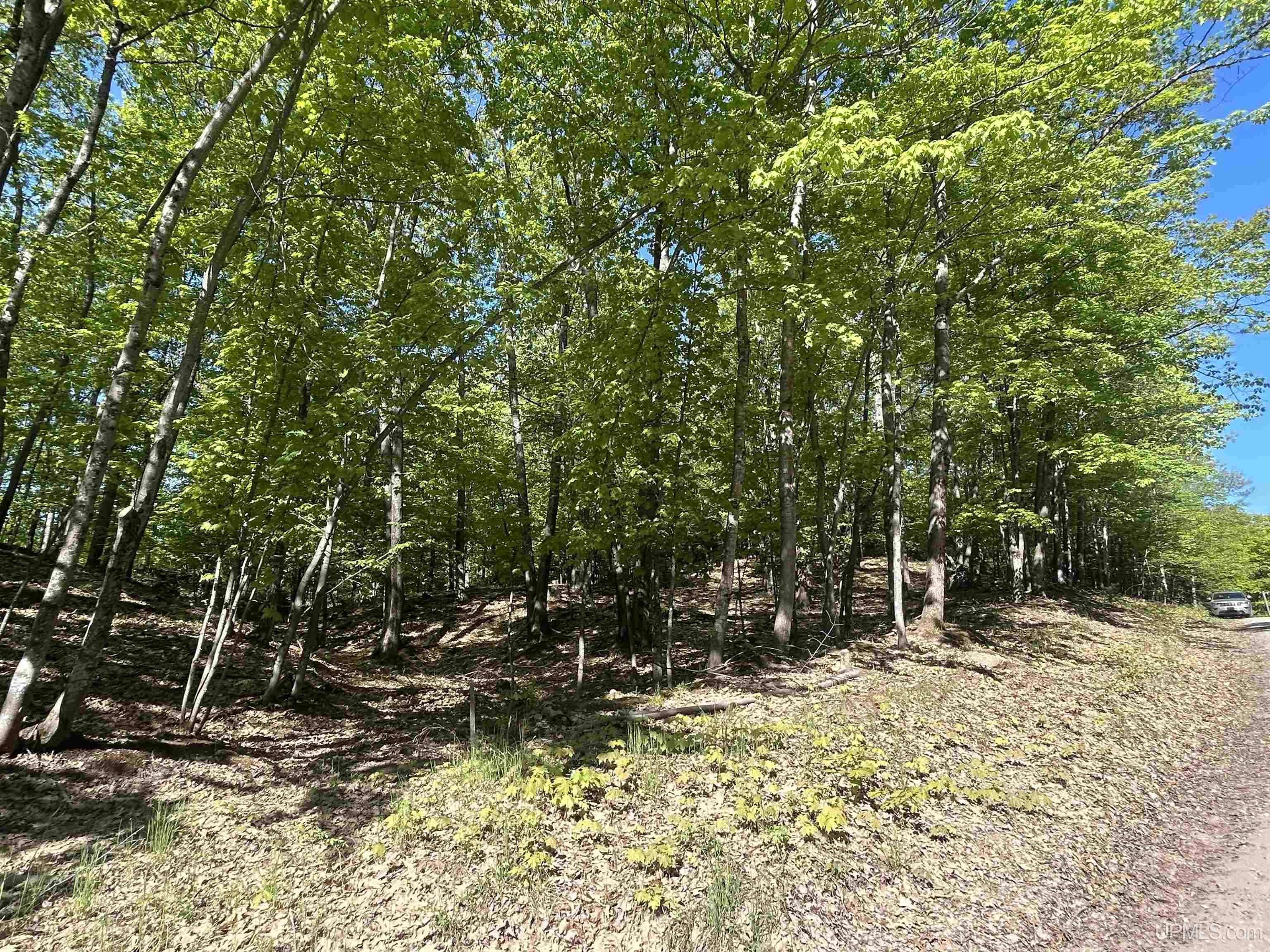 main property photo 11