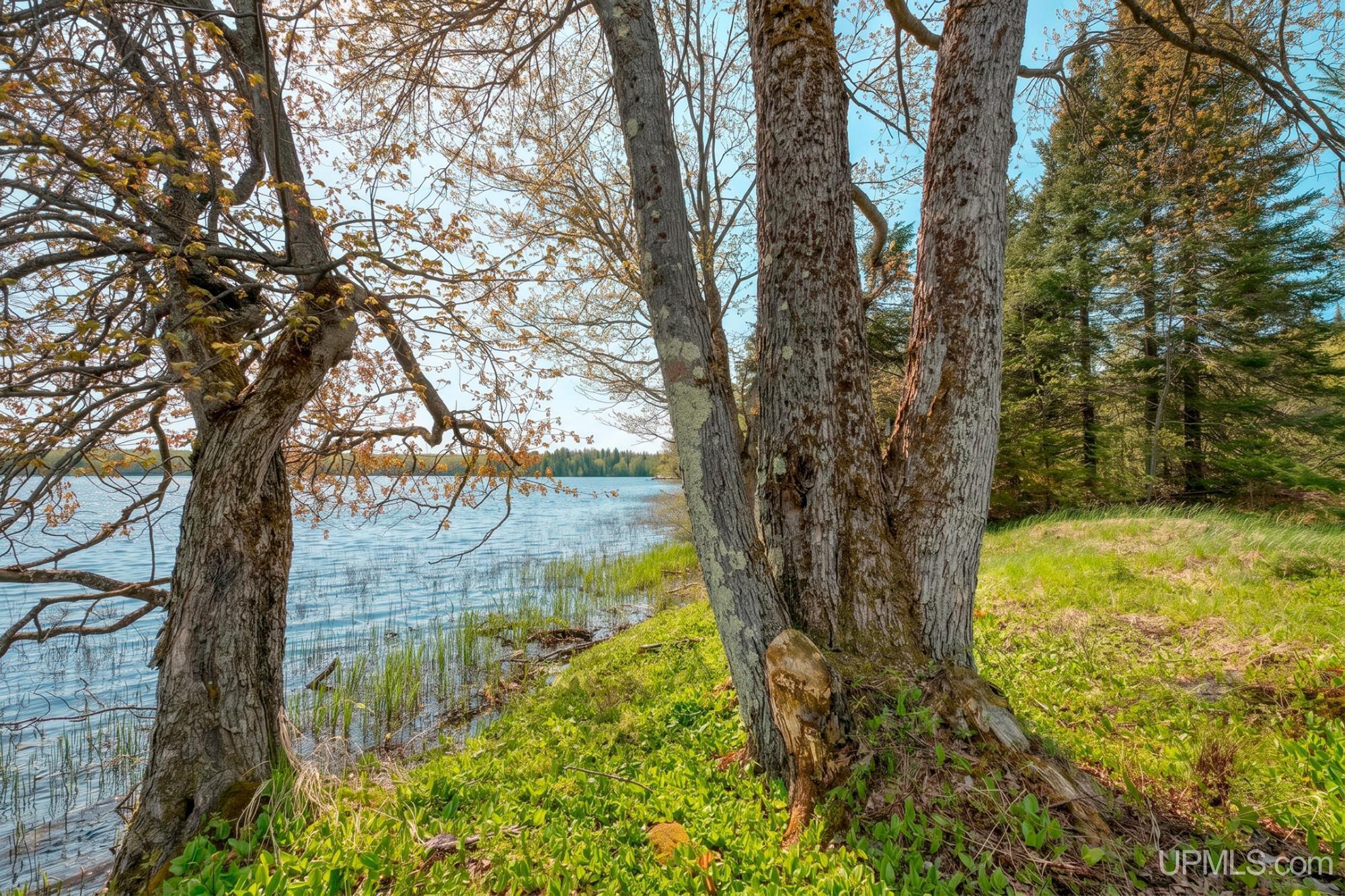main property photo 61