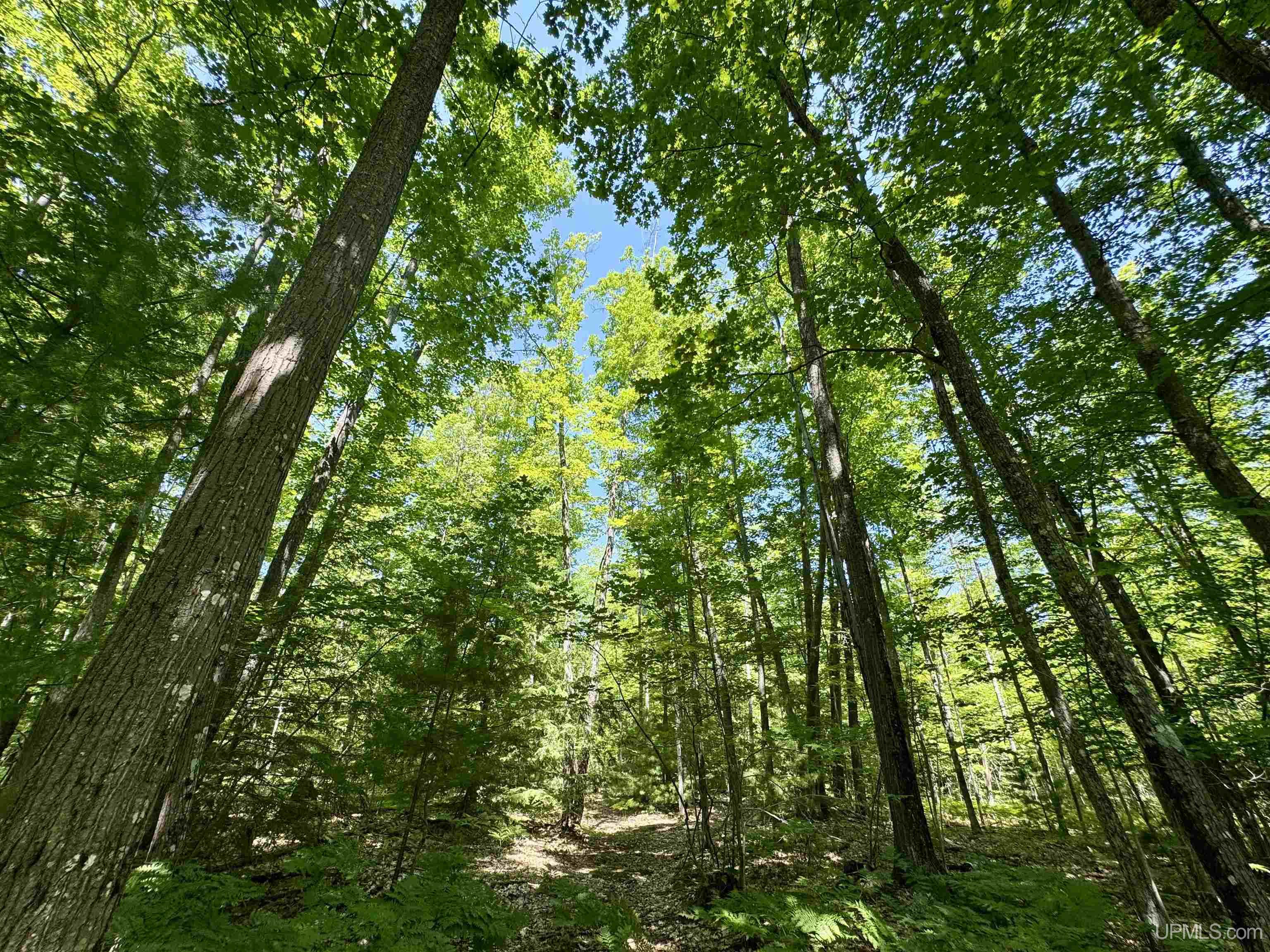 main property photo 39