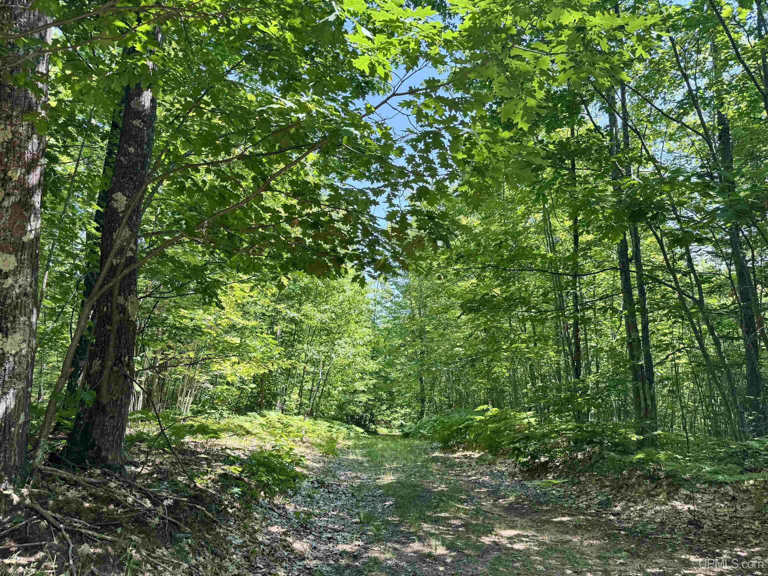 main property photo 54