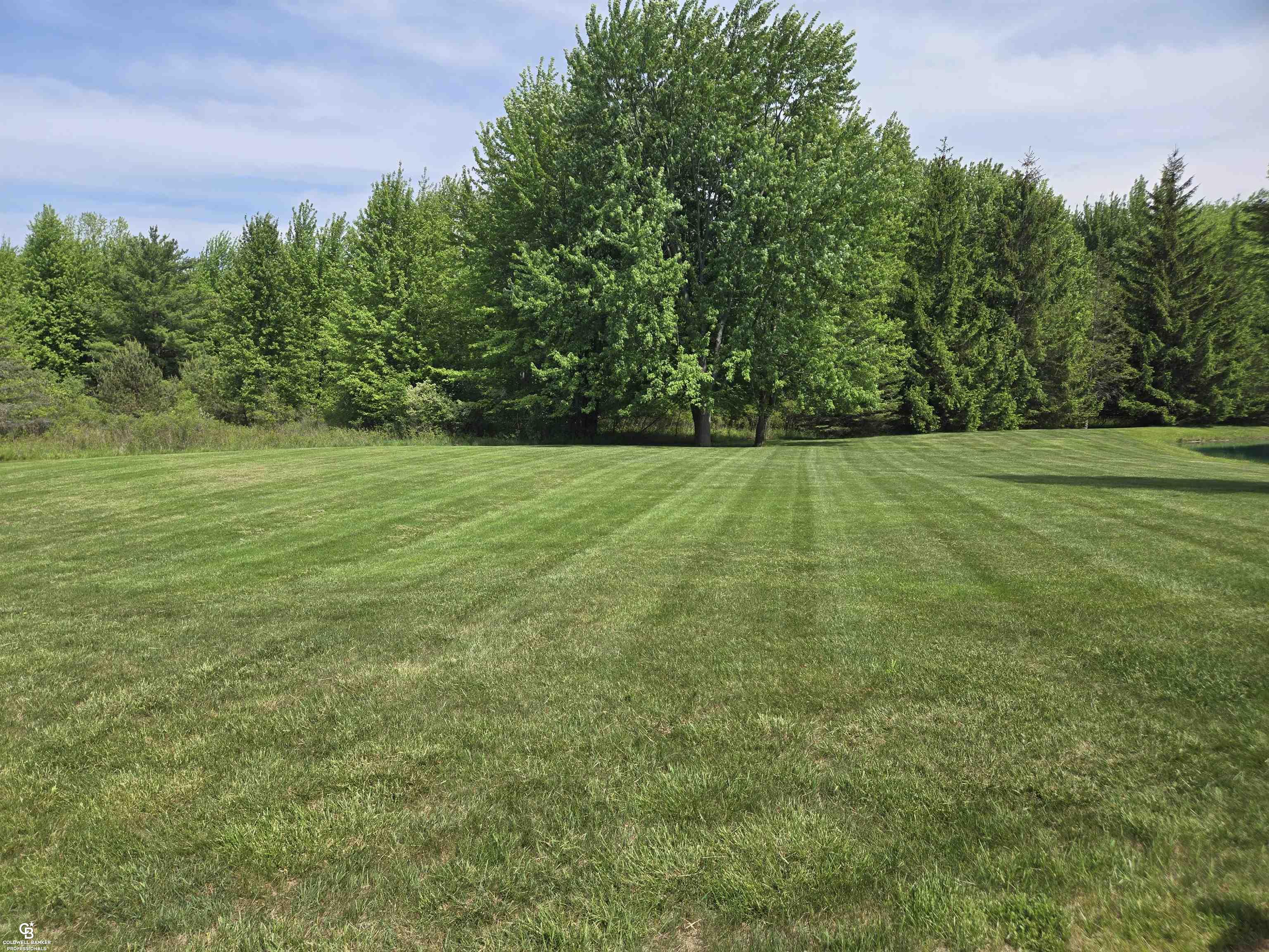 main property photo 59