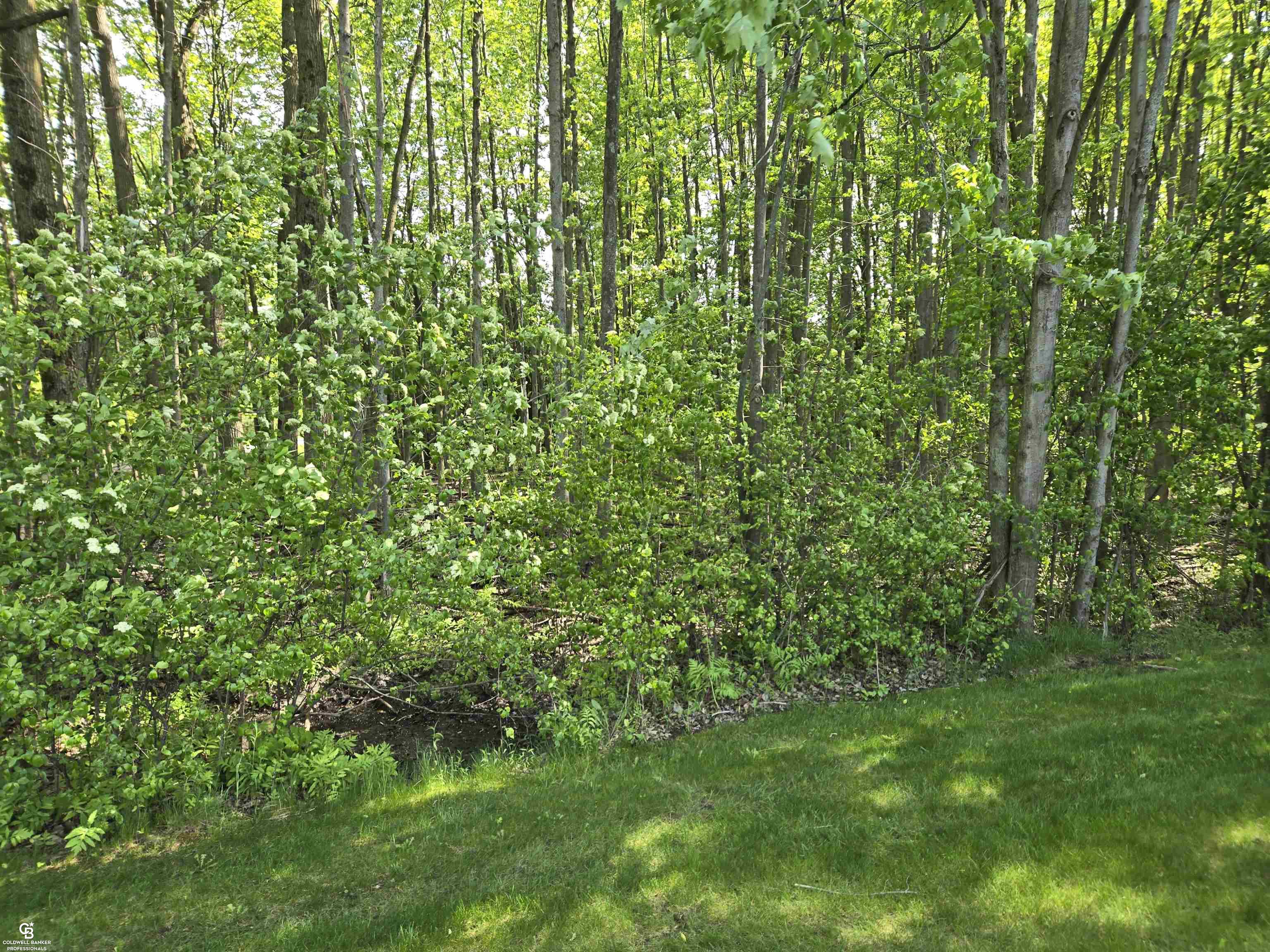 main property photo 66