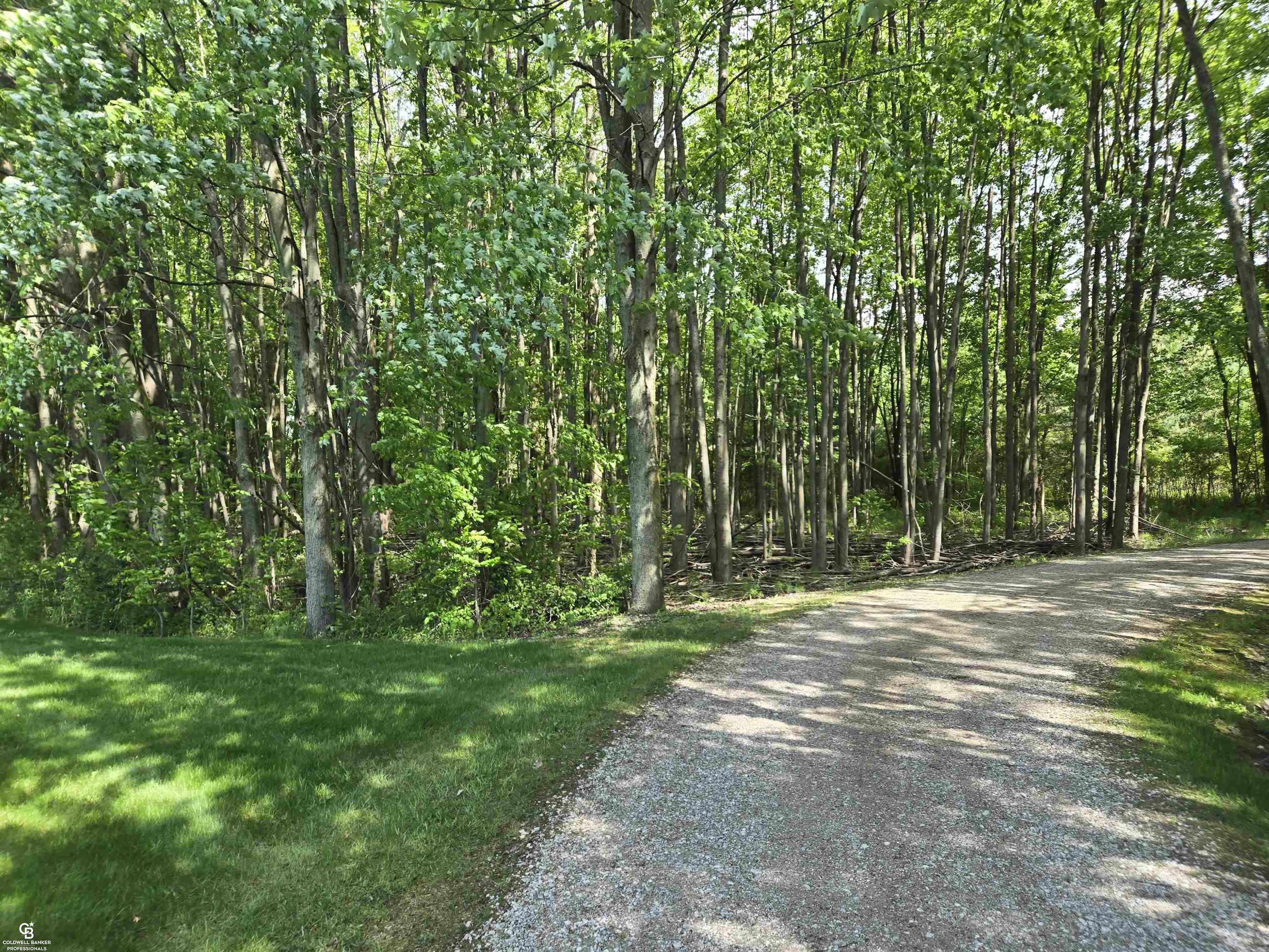 main property photo 67