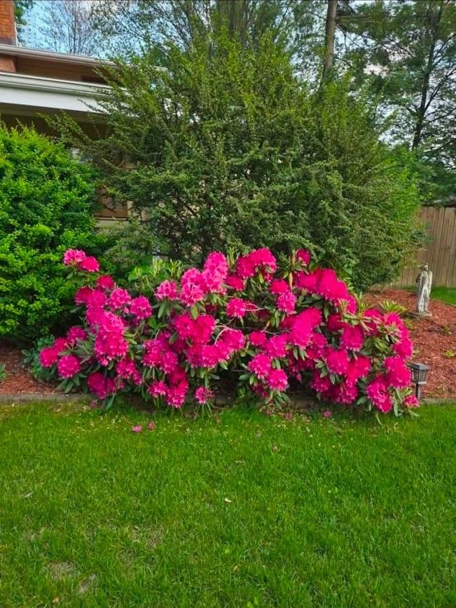 main property photo 56