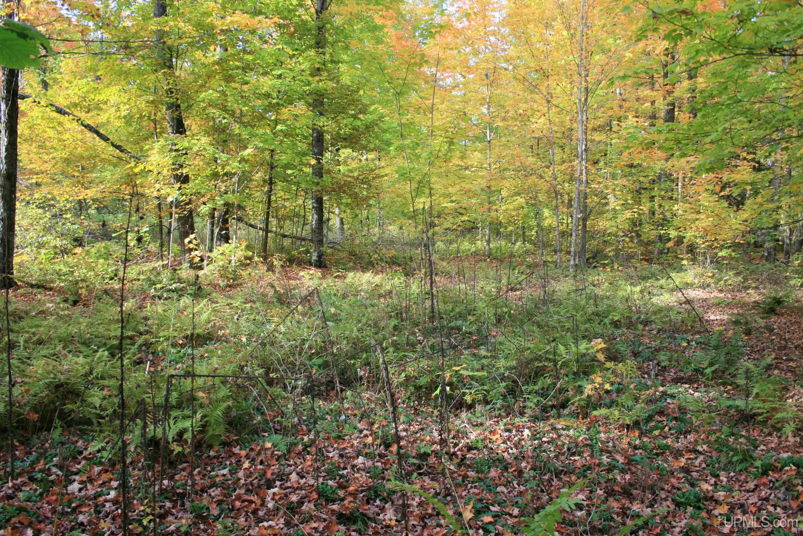 main property photo 8