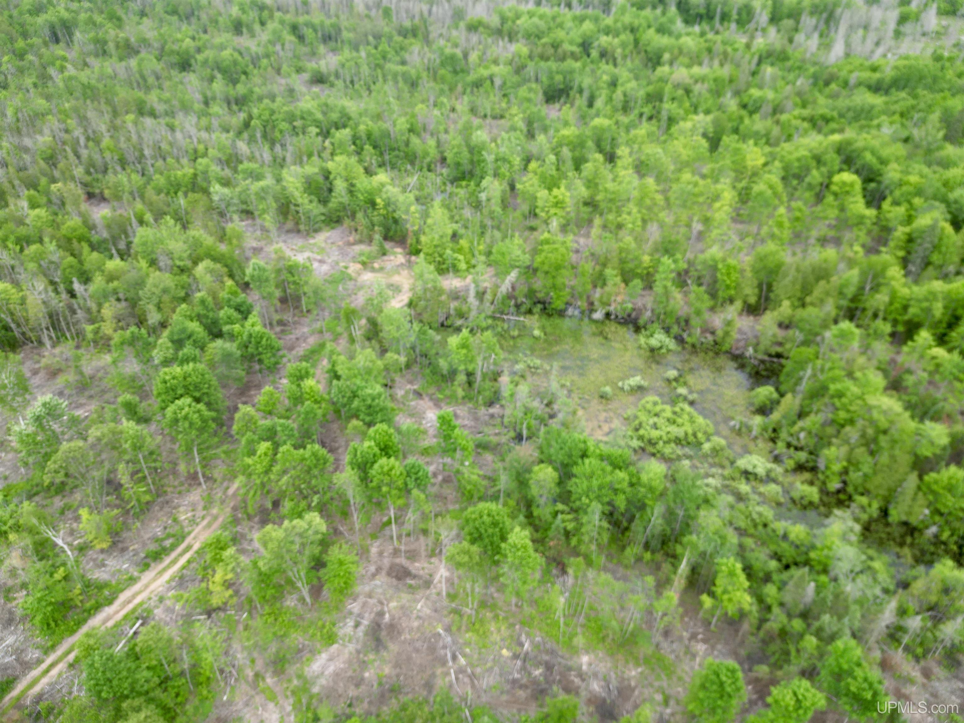 main property photo 58