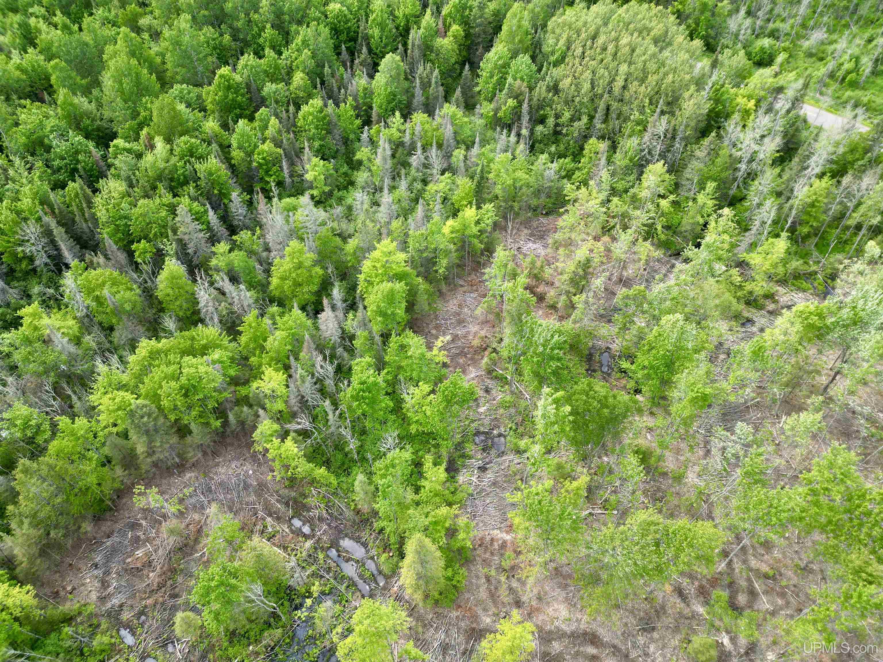 main property photo 59