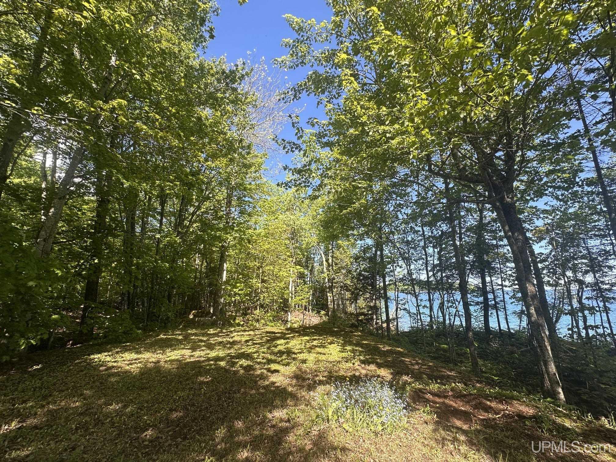 main property photo 63