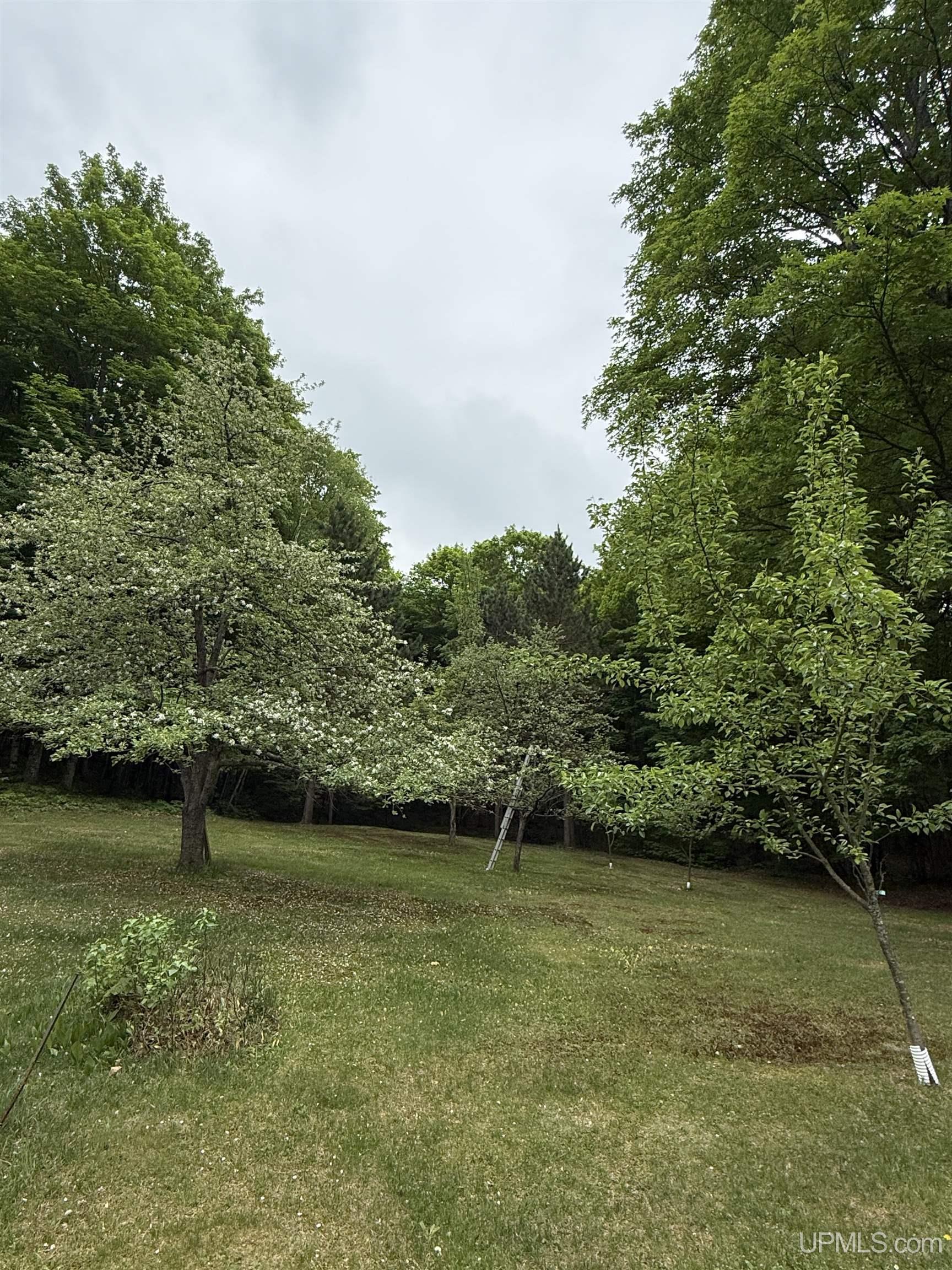 main property photo 64