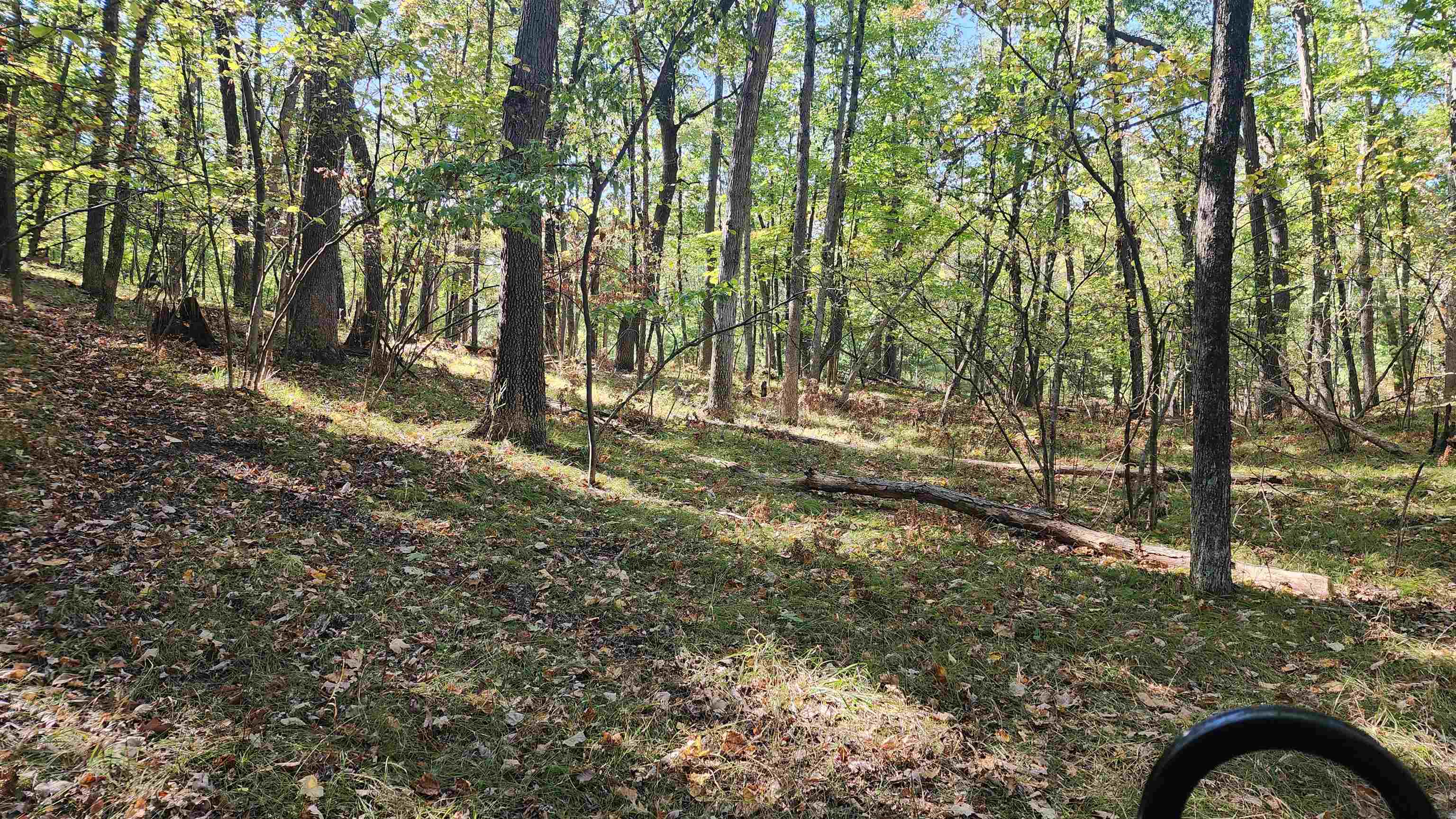 main property photo 14