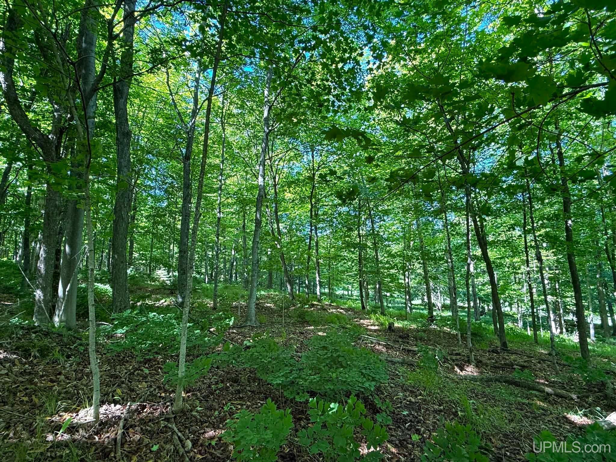 main property photo 49