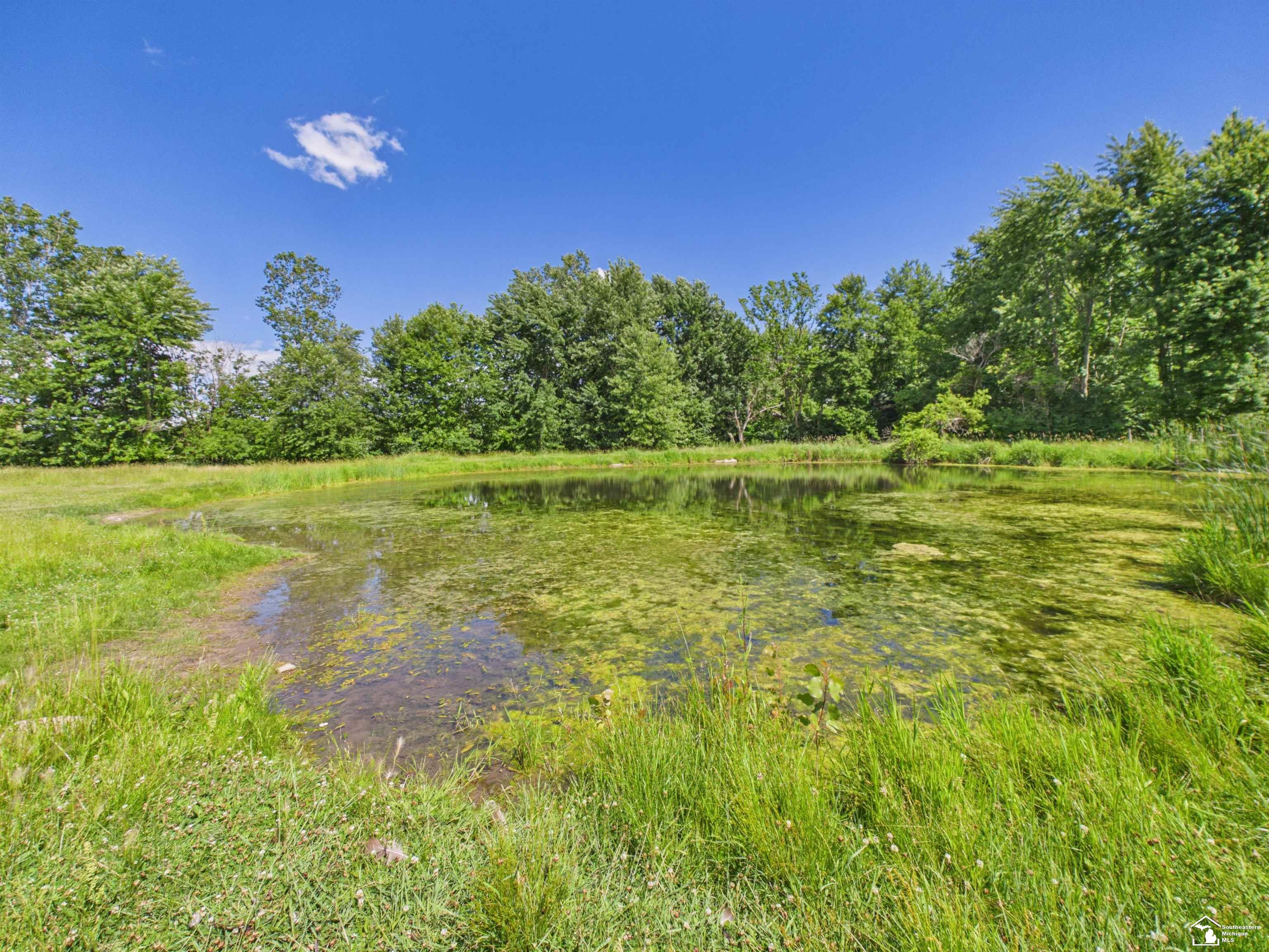 property viewer photo 66