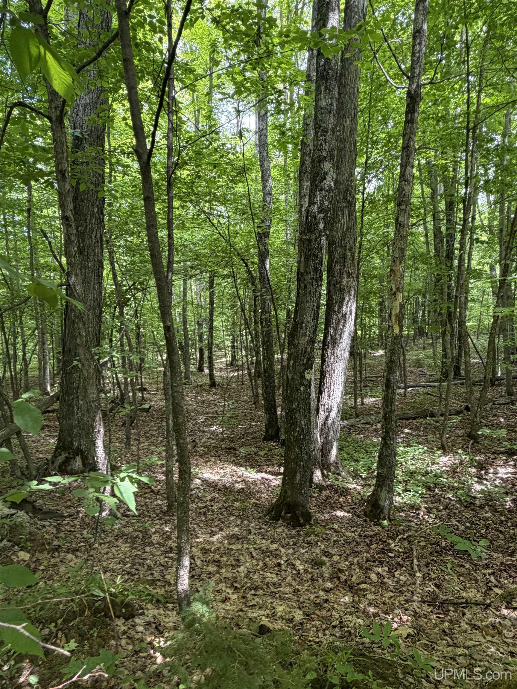 main property photo 13