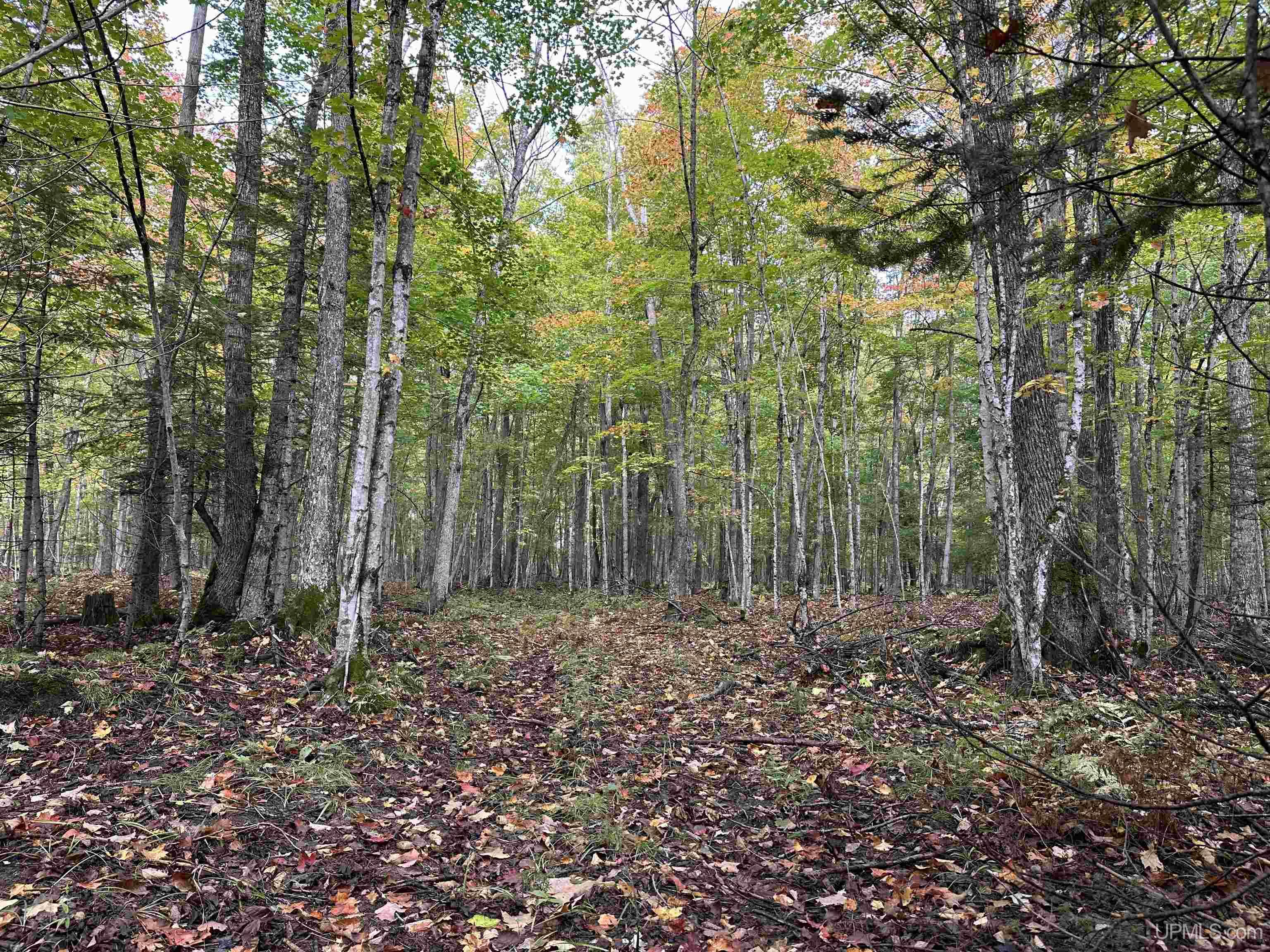 main property photo 35