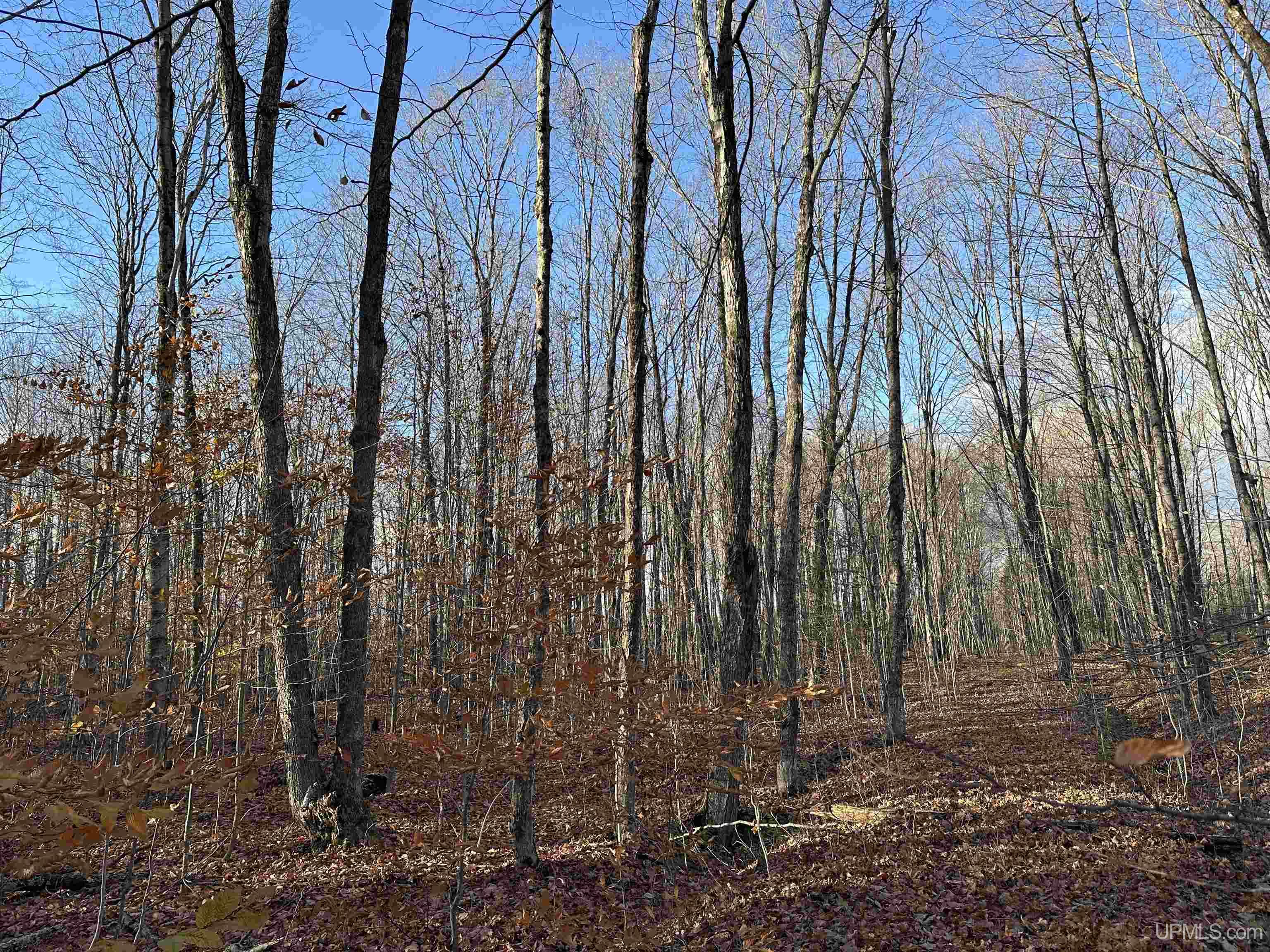main property photo 40