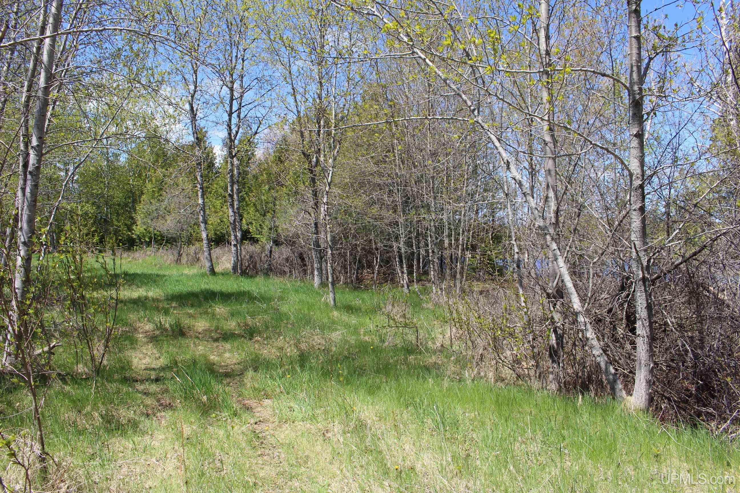 main property photo 43