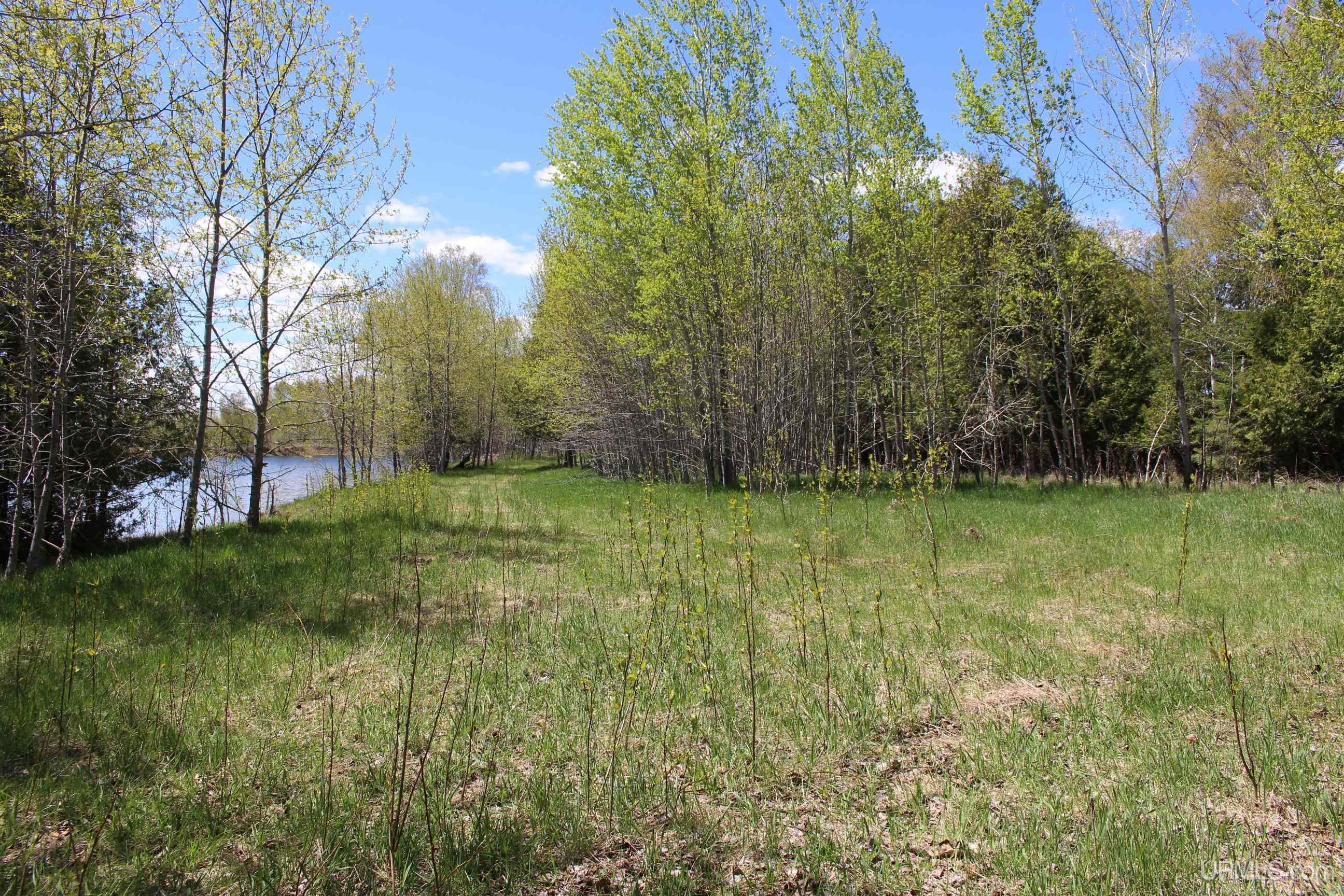 main property photo 45