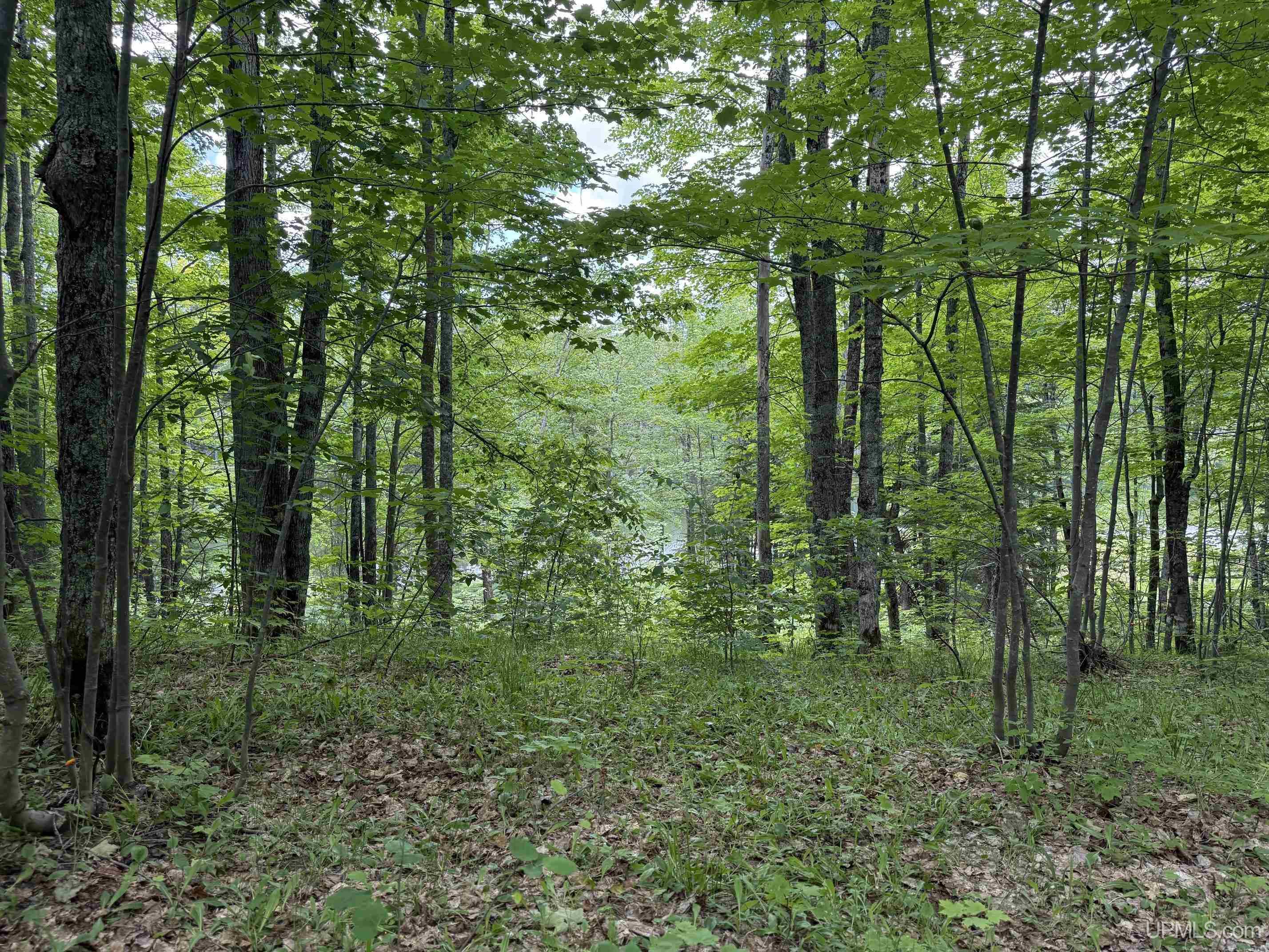 main property photo 11