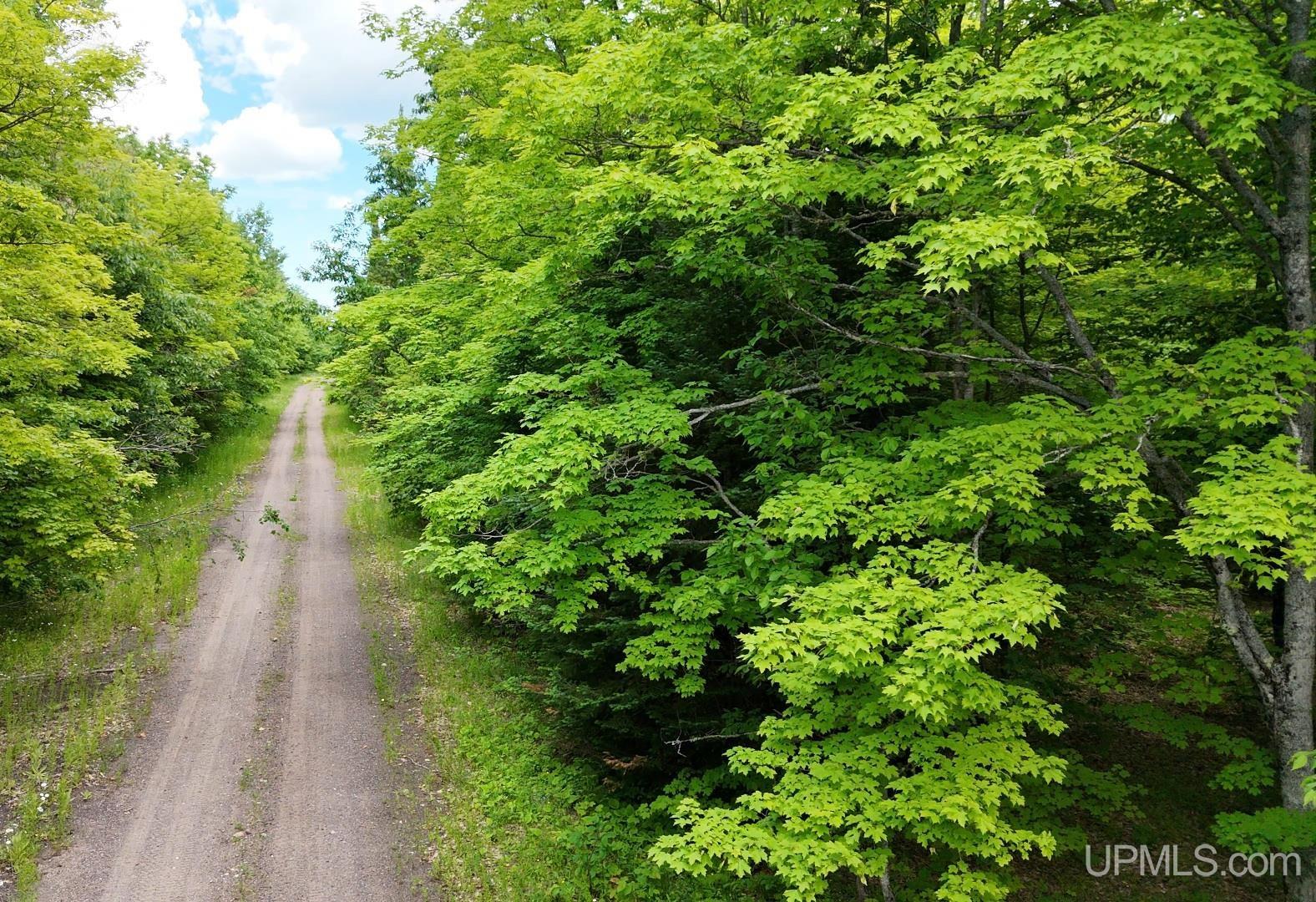 main property photo 13