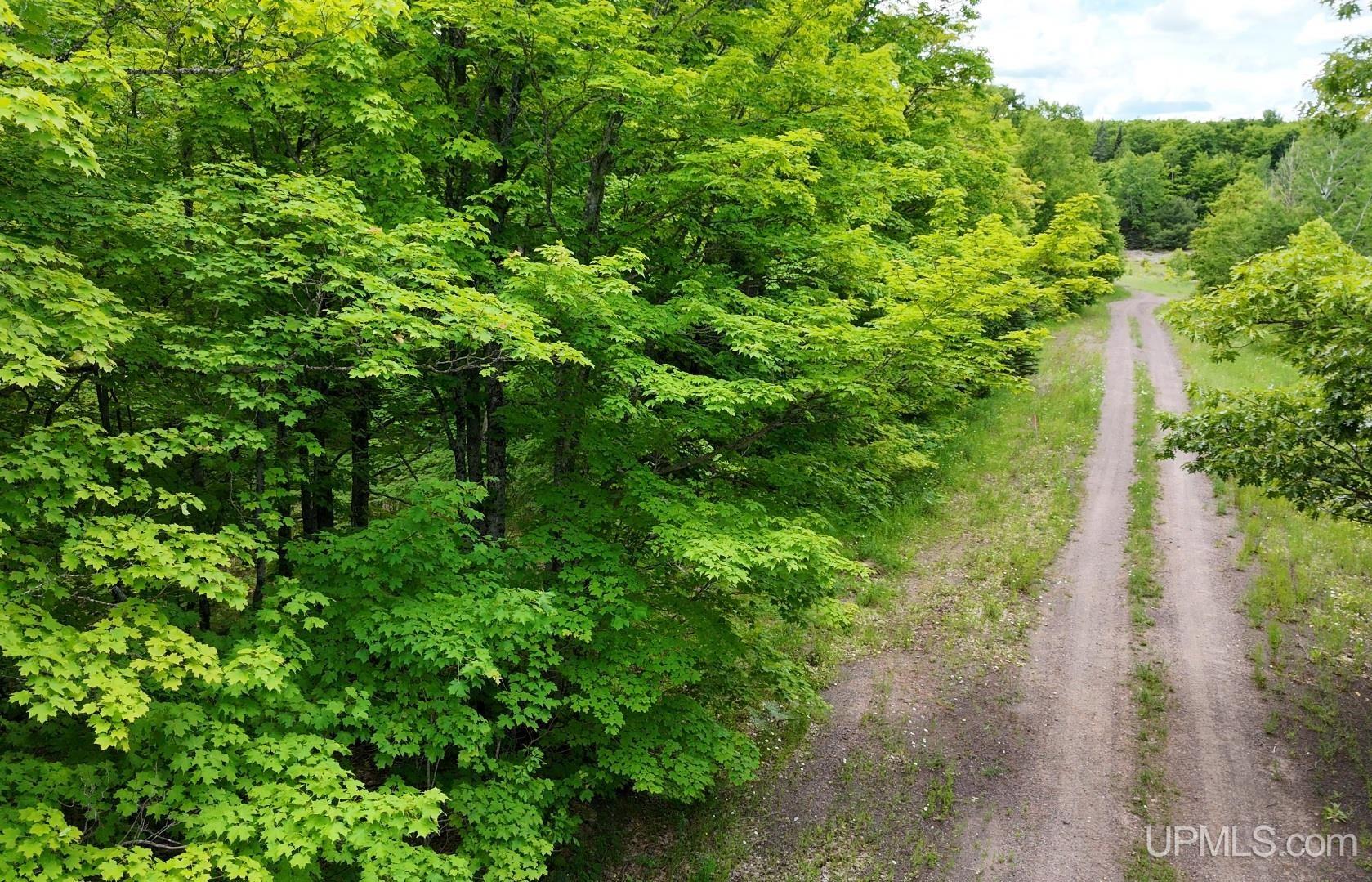main property photo 14