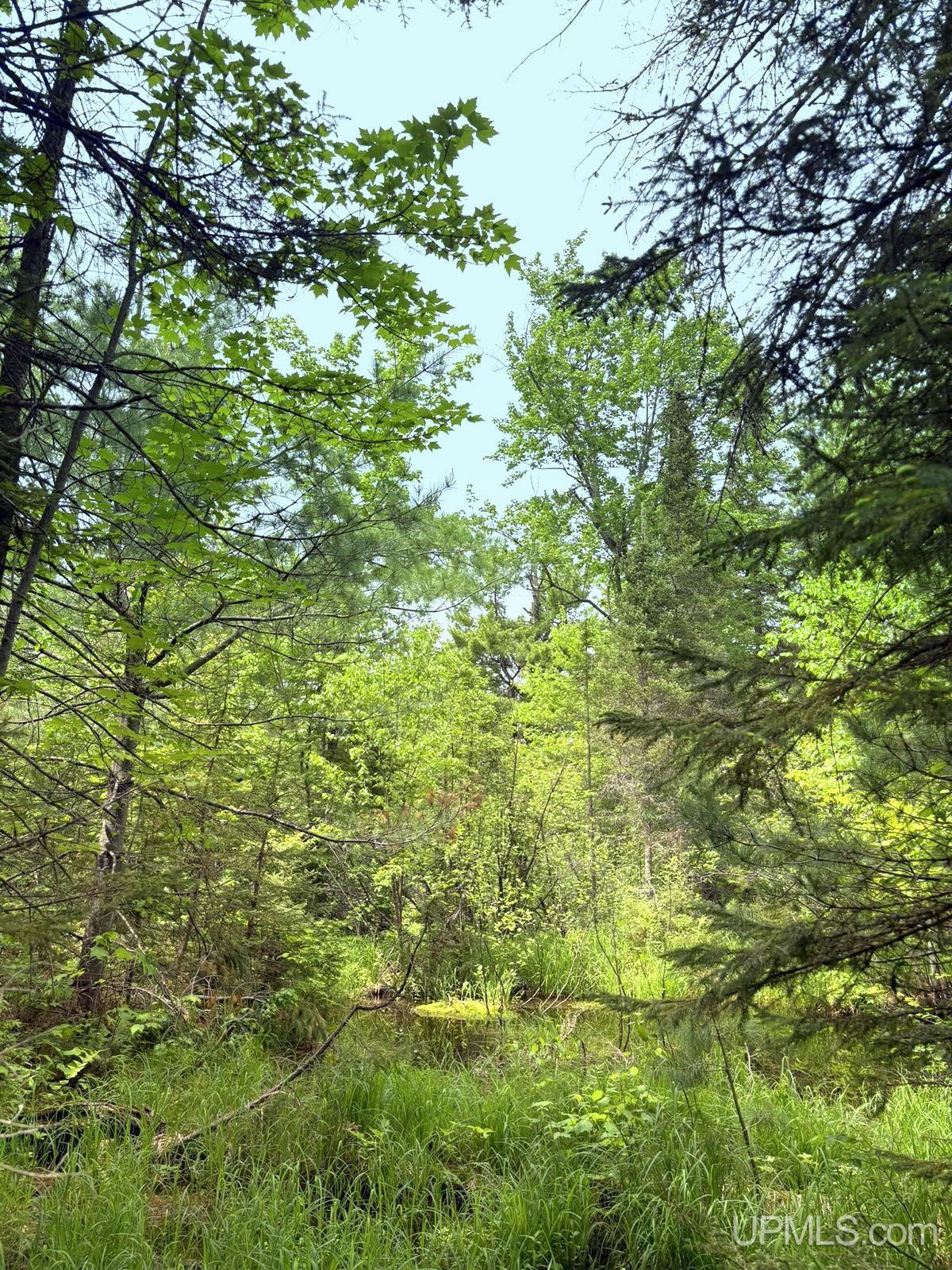 main property photo 19