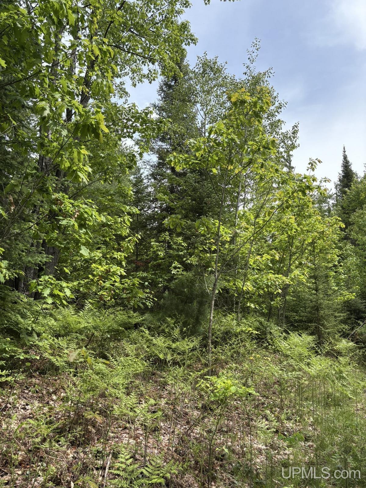 main property photo 25