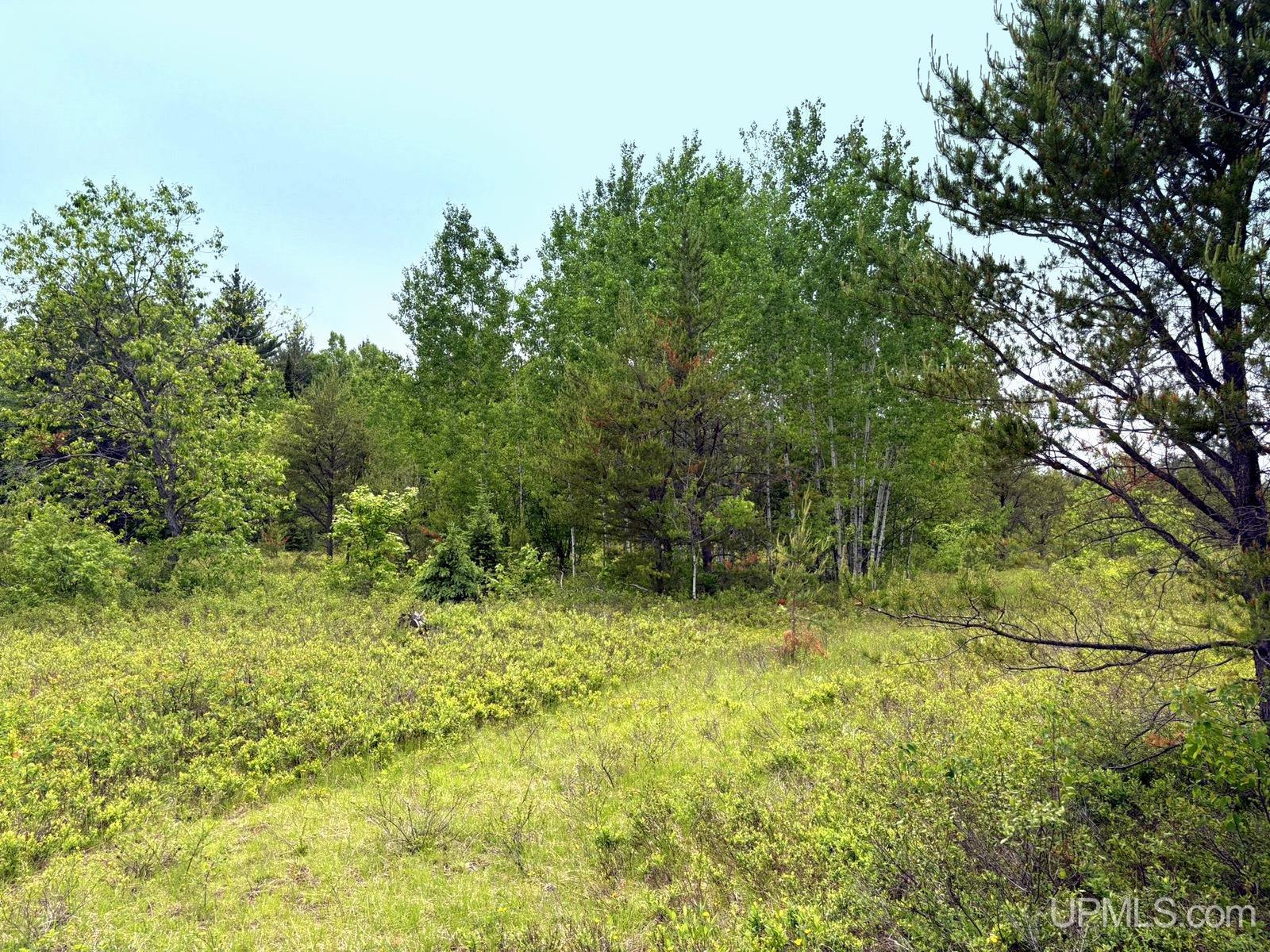main property photo 44