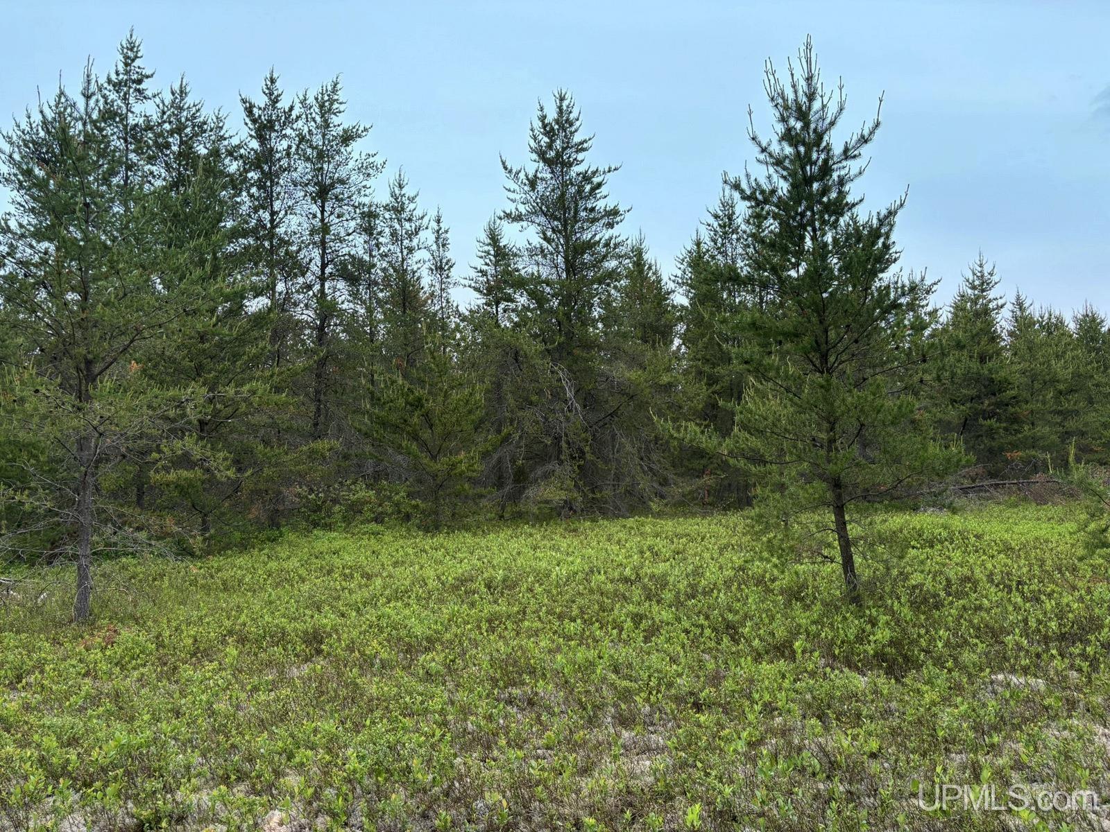 main property photo 49