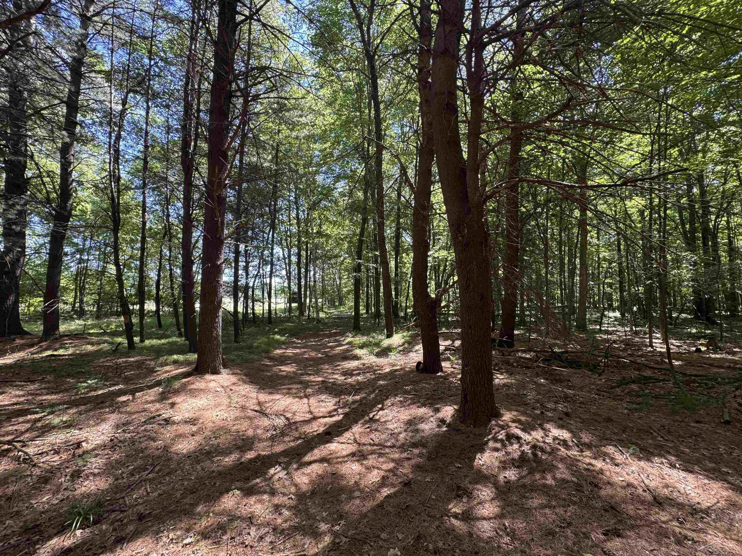 main property photo 27
