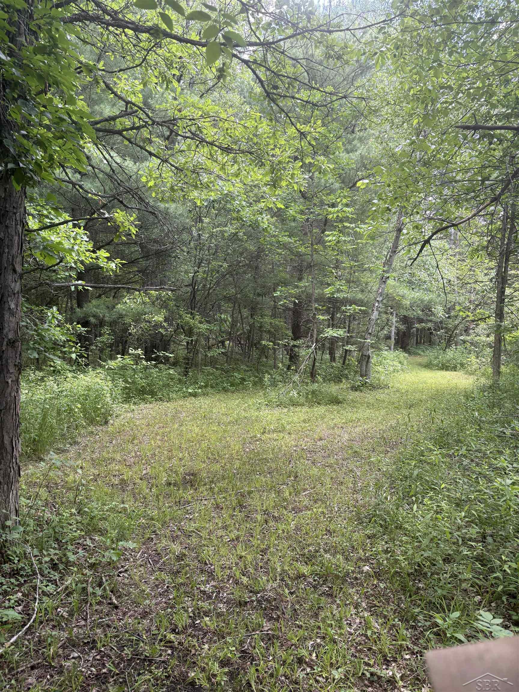 main property photo 11