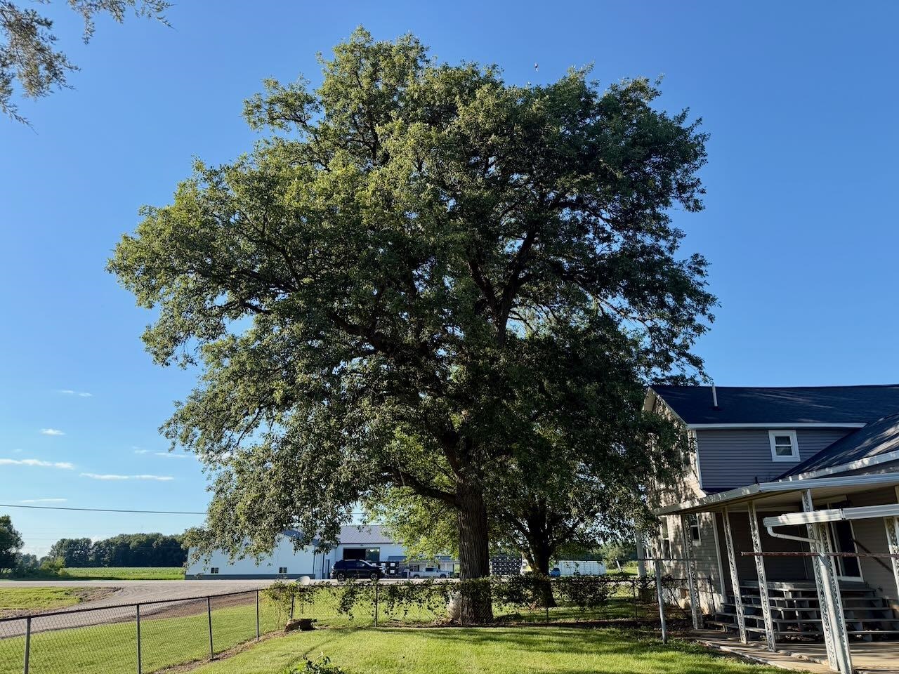 main property photo 5