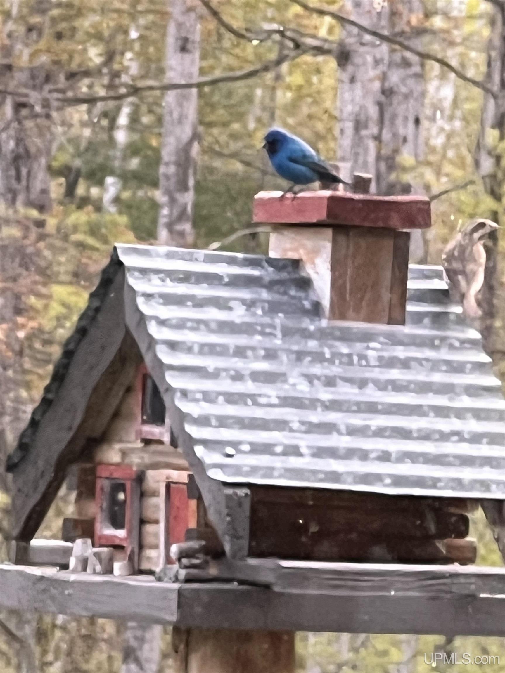 main property photo 59