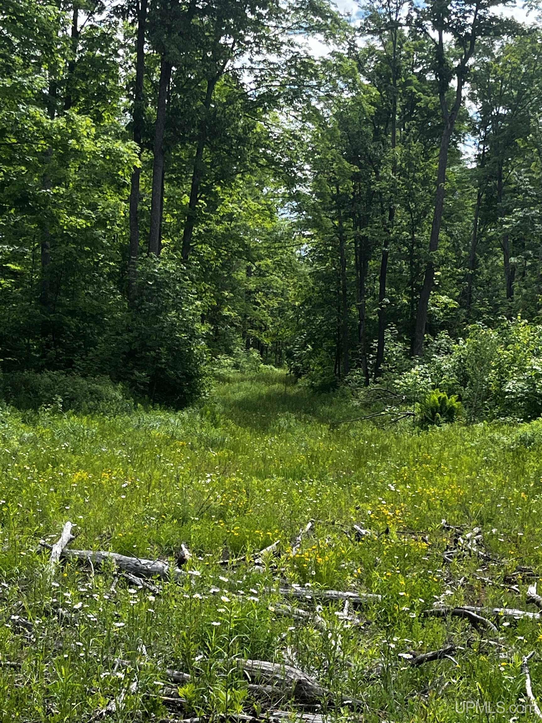 main property photo 18
