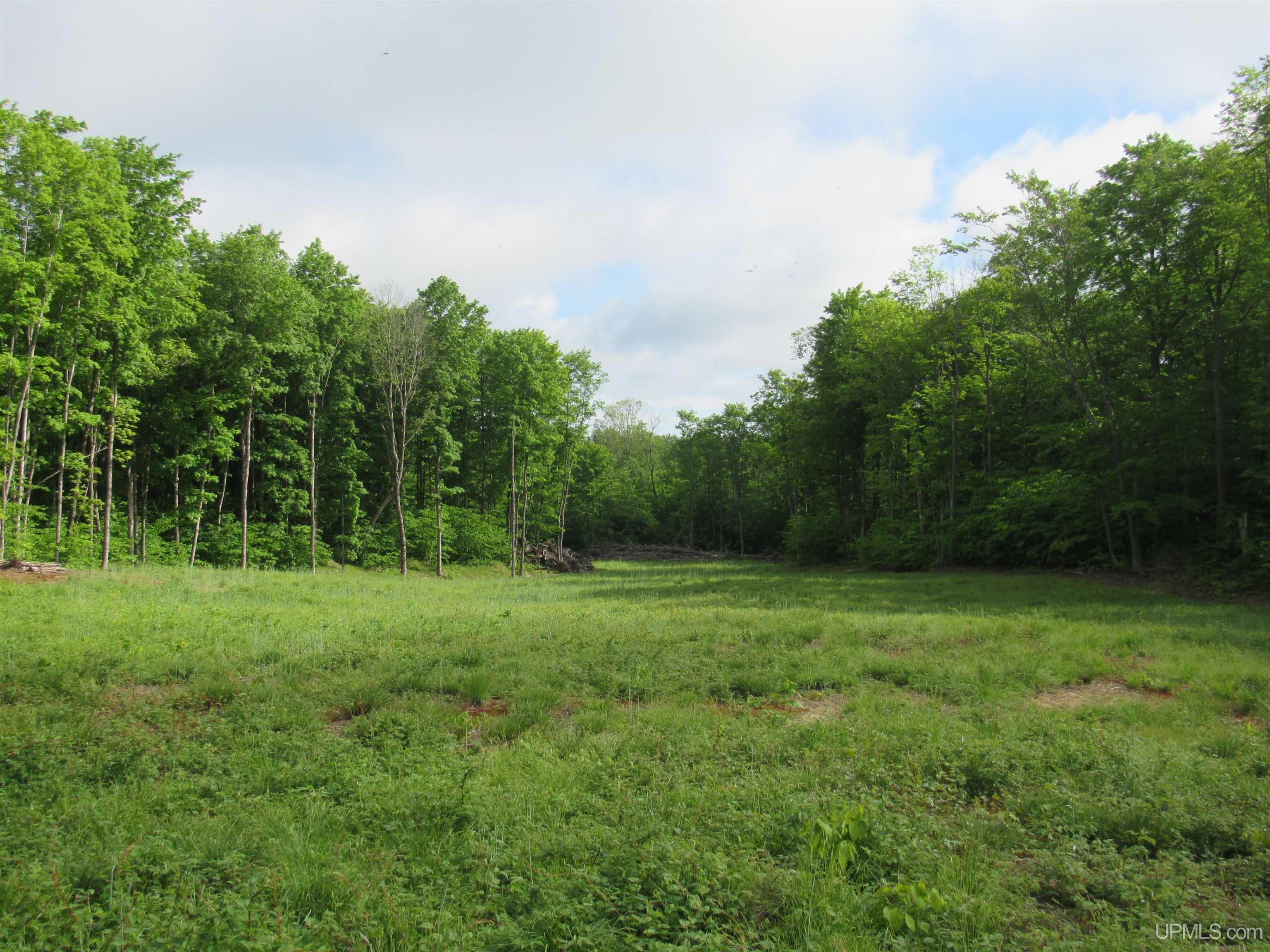 main property photo 21