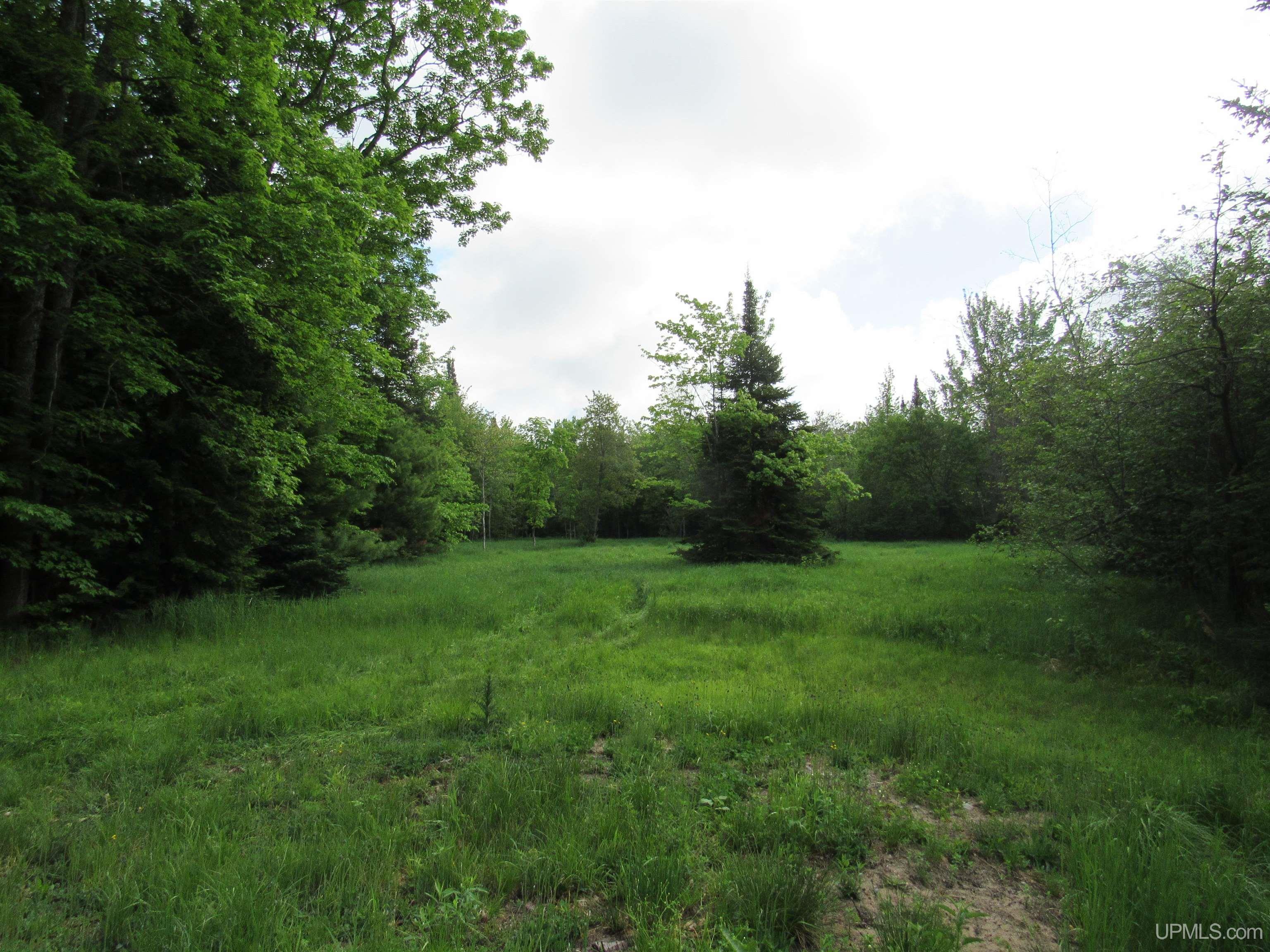 main property photo 39
