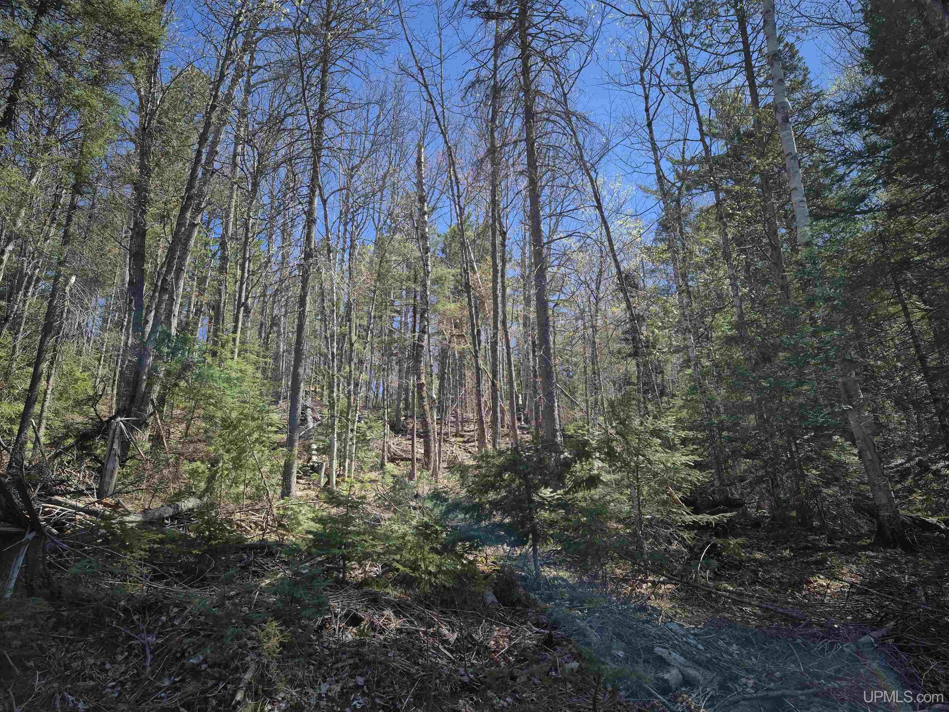 main property photo 29