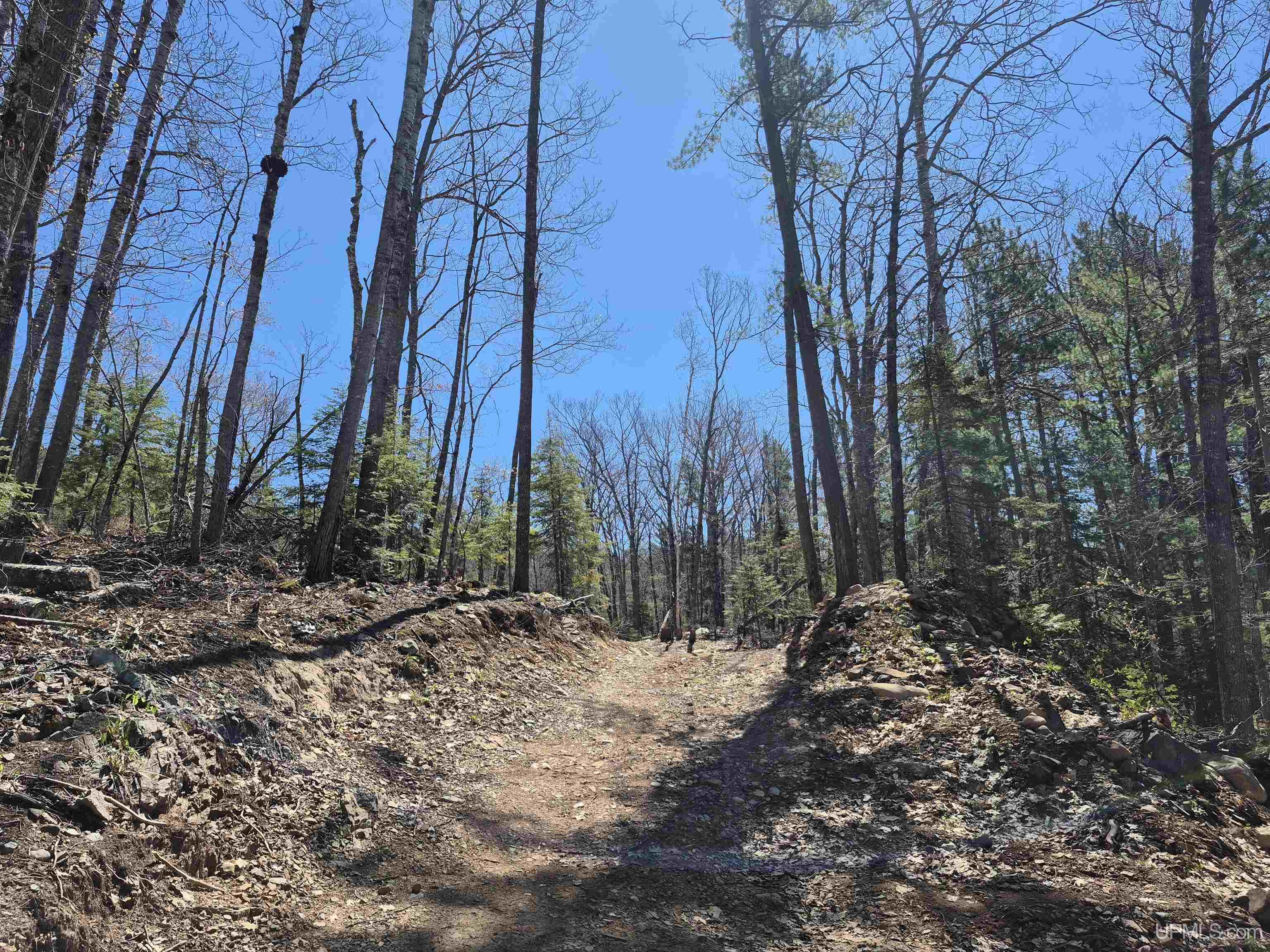 main property photo 37