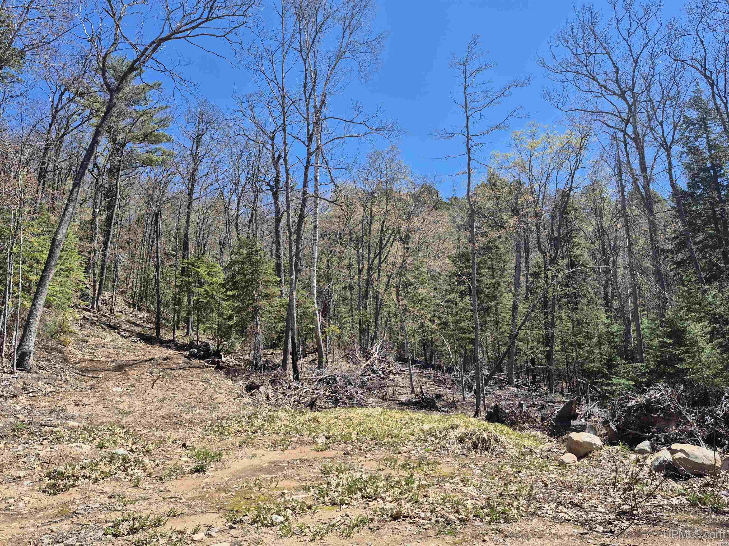 main property photo 39