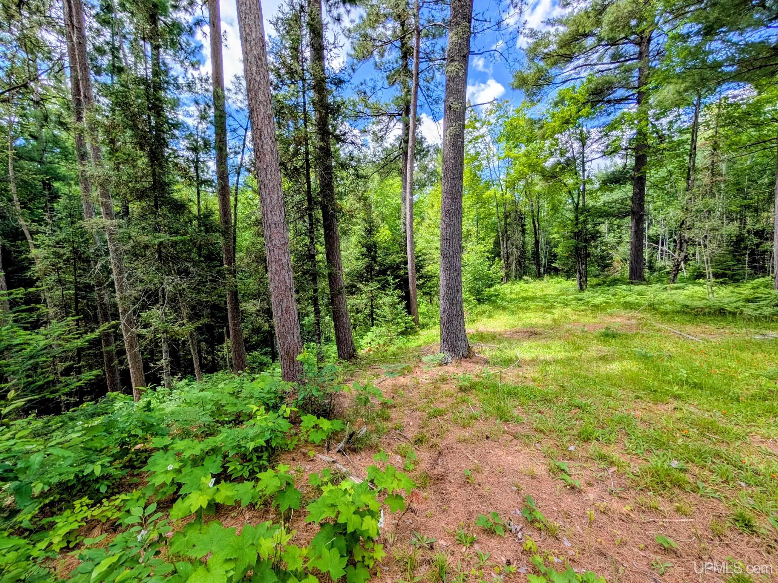 main property photo 12