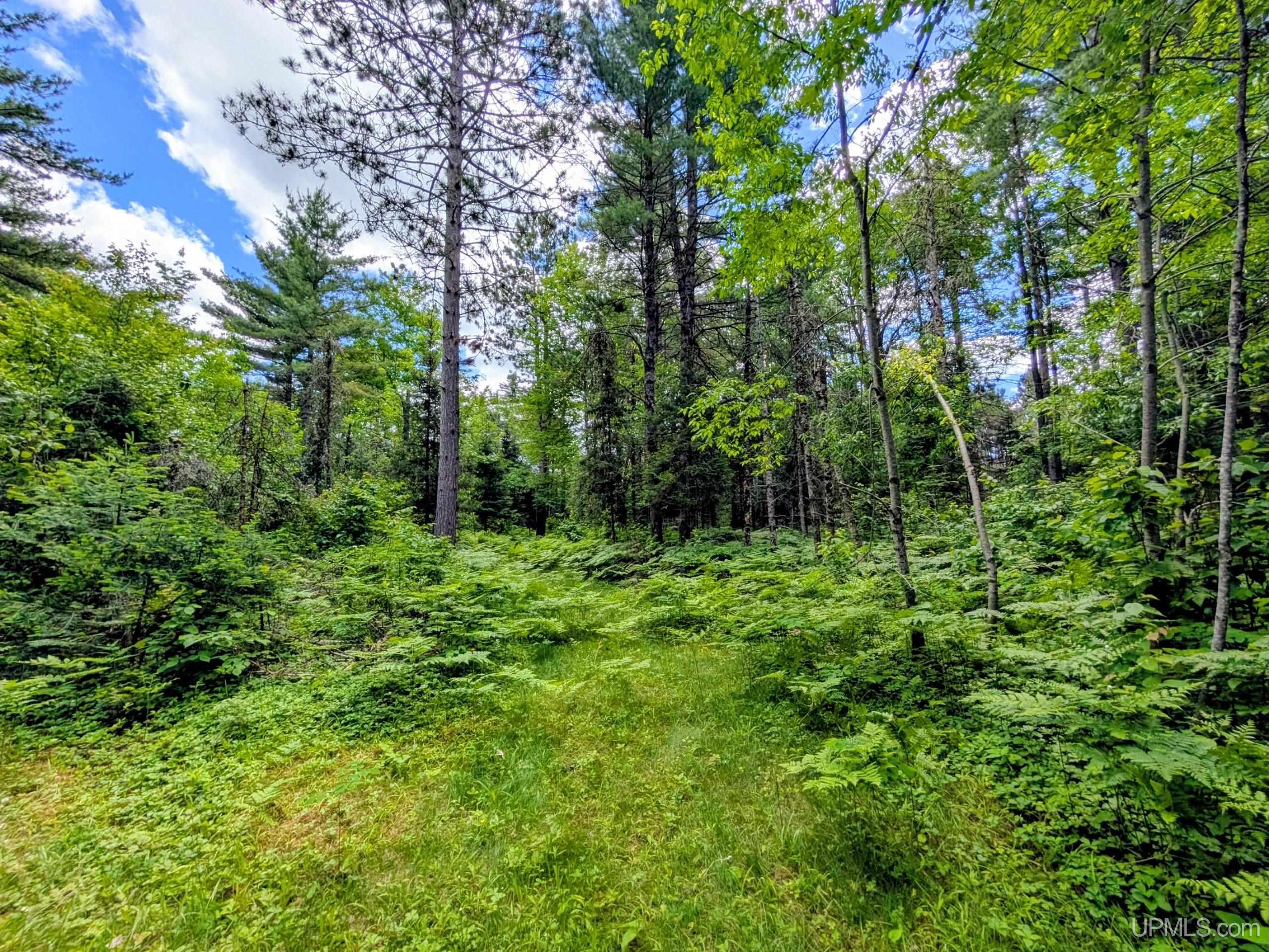 main property photo 21
