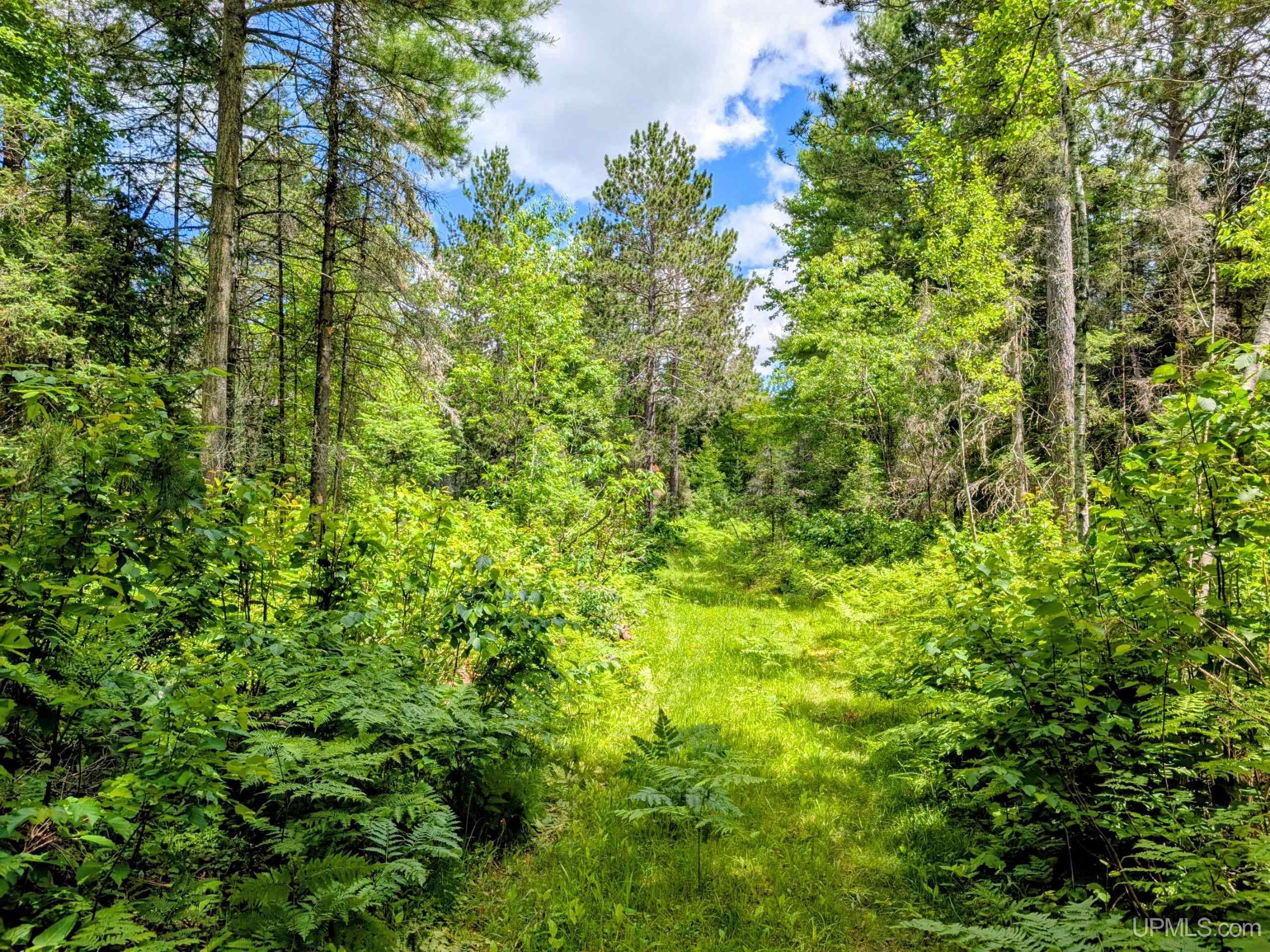 main property photo 22