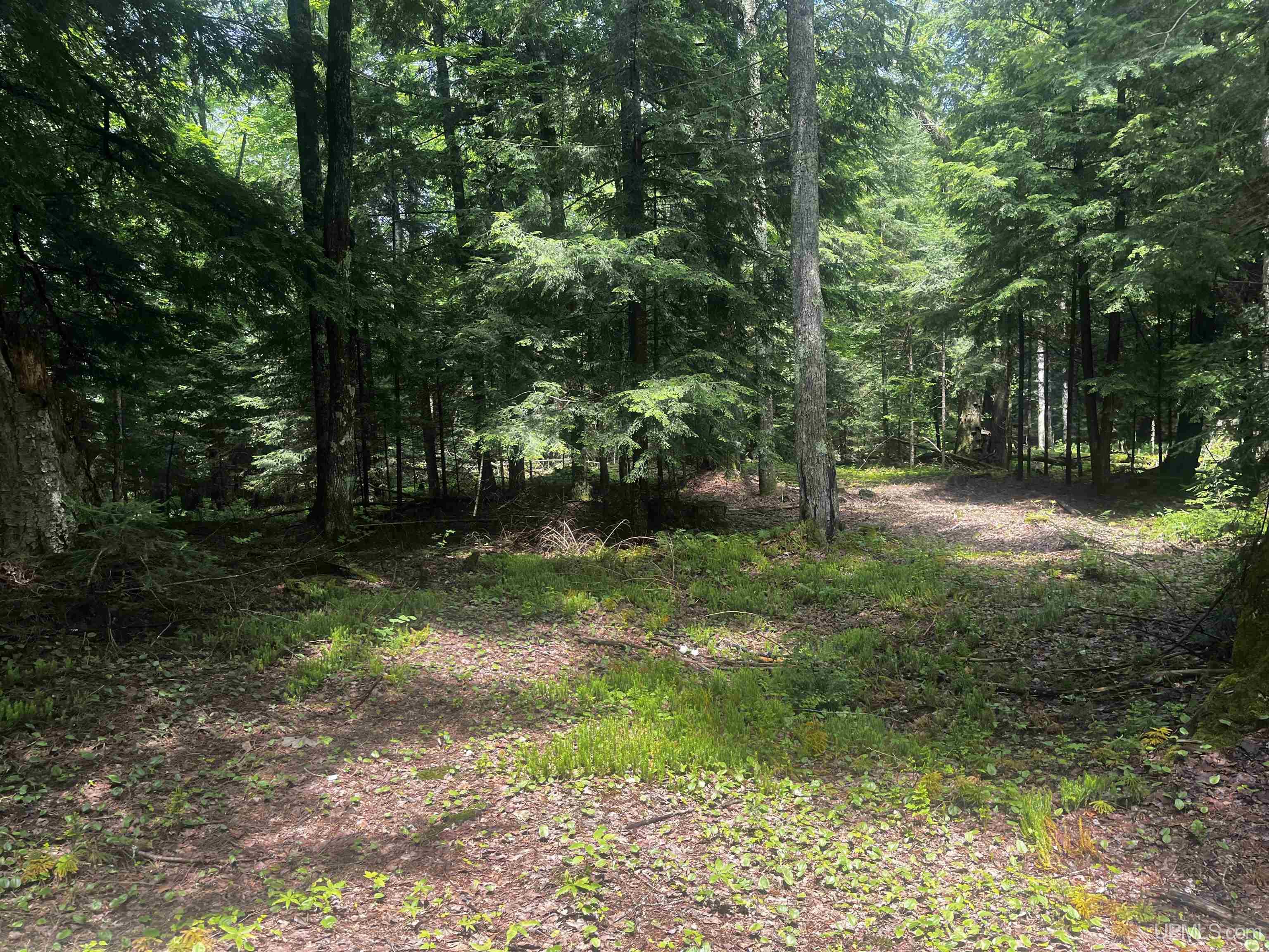 main property photo 11