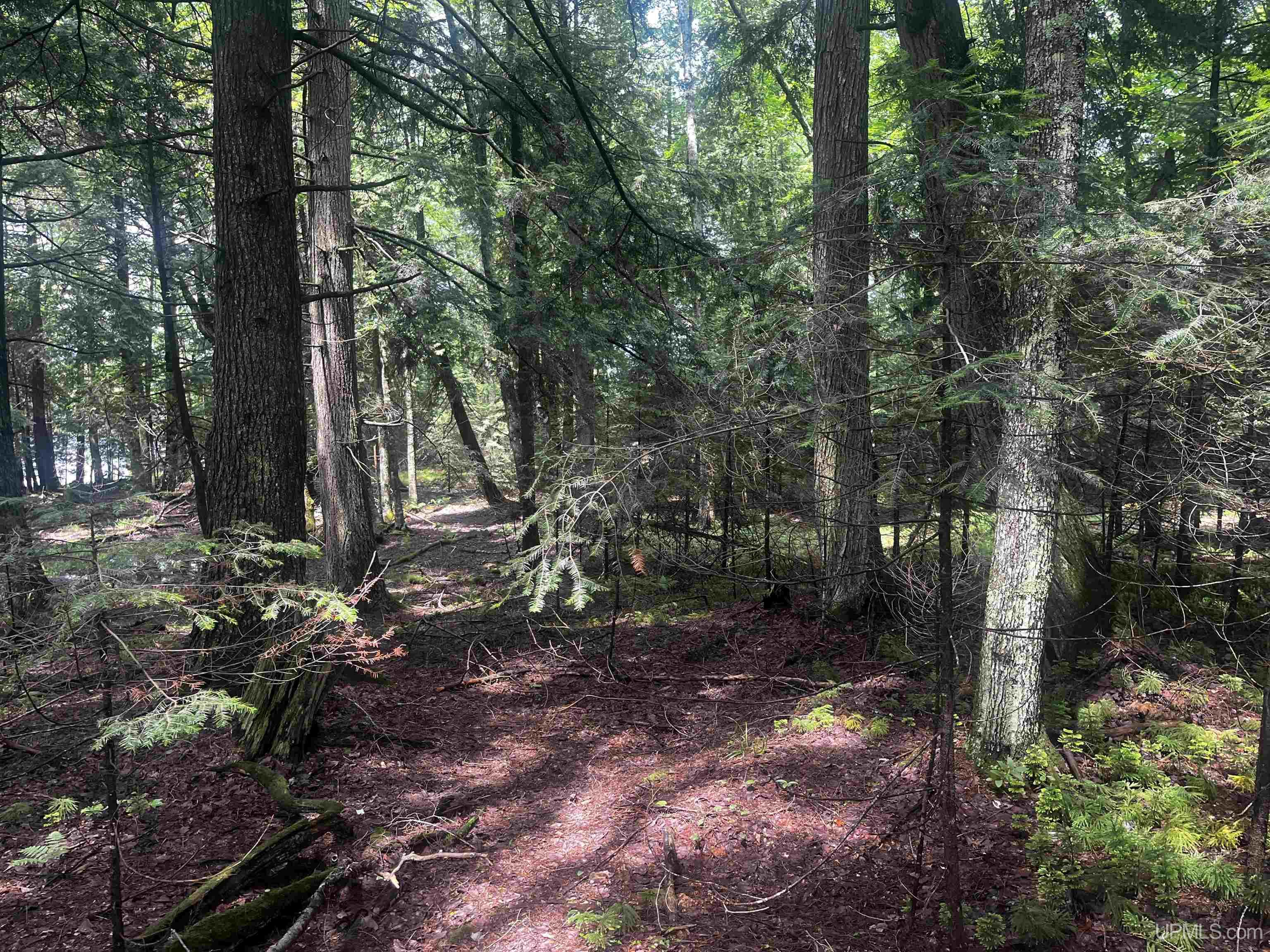 main property photo 13