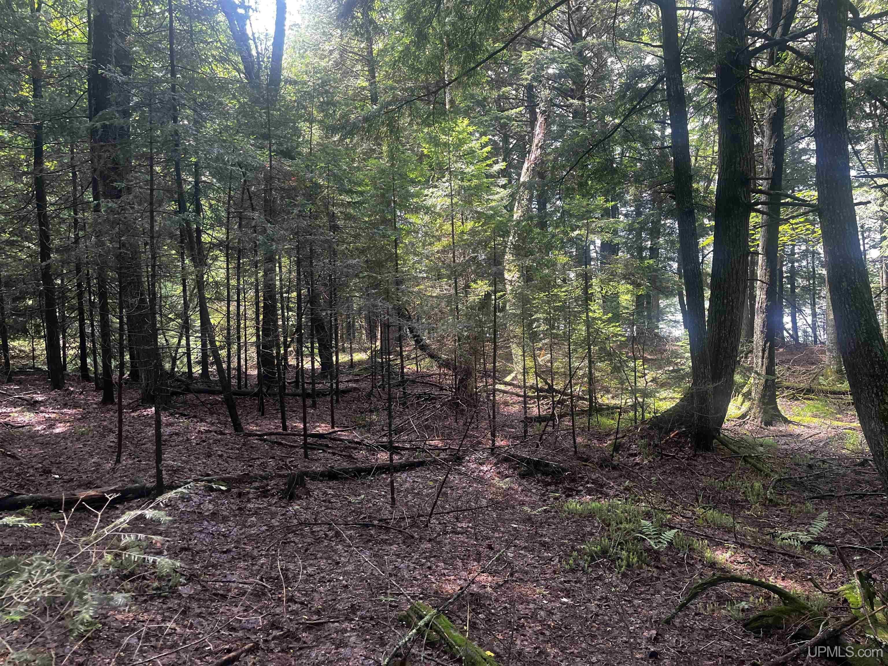 main property photo 14