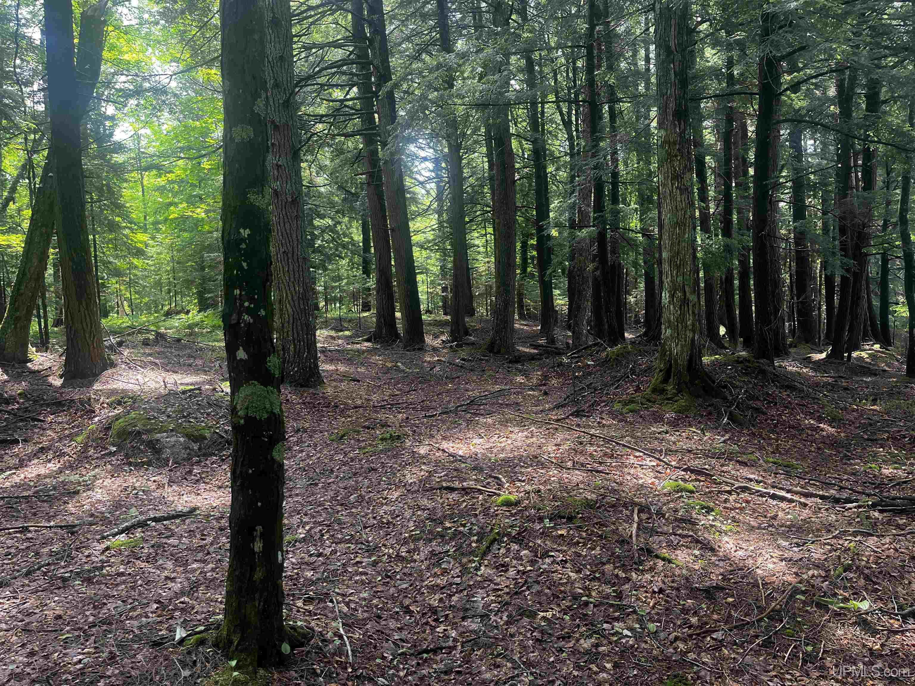 main property photo 15