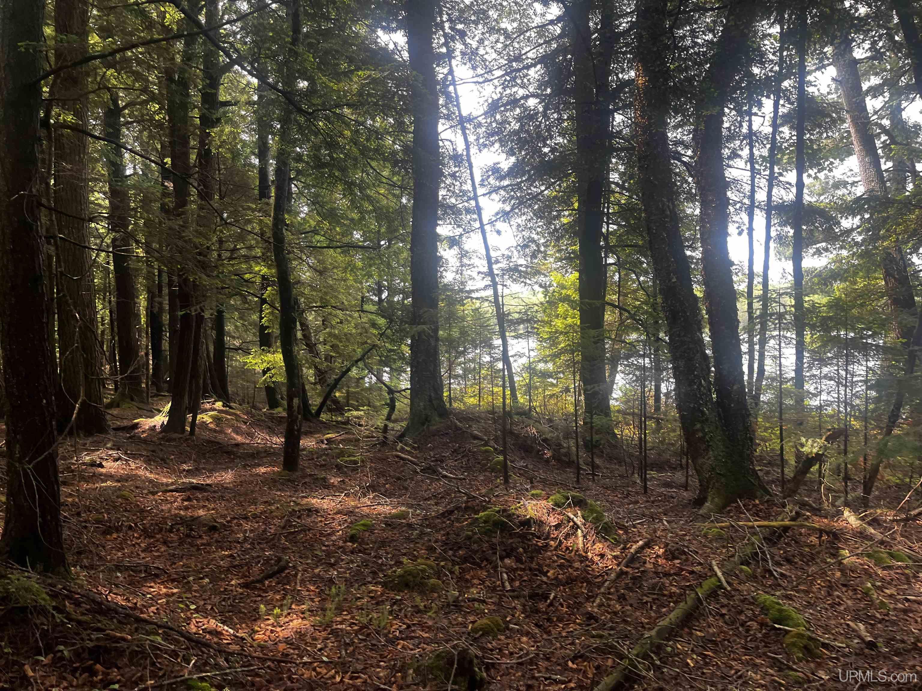 main property photo 17